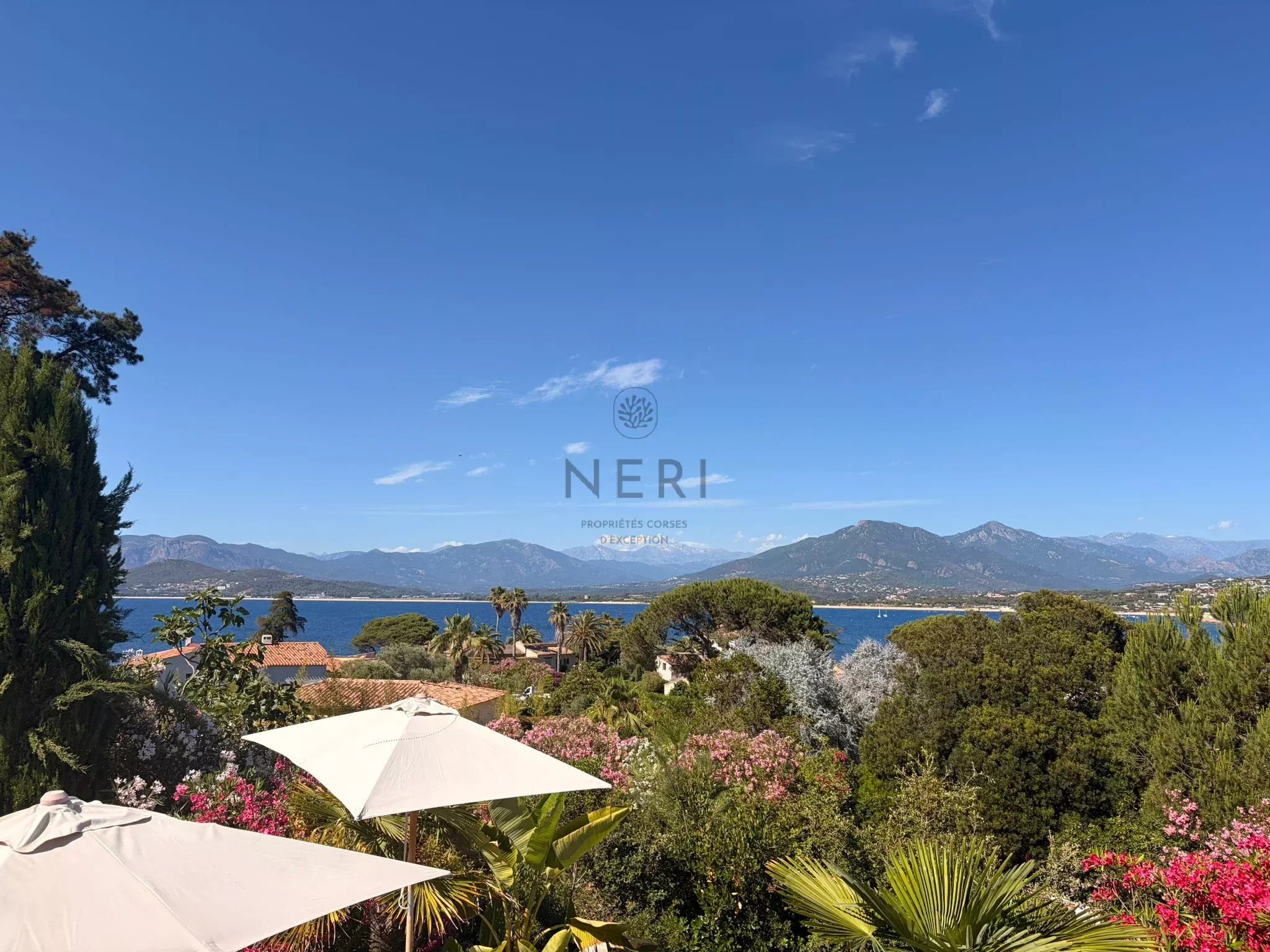 Photo numéro 4