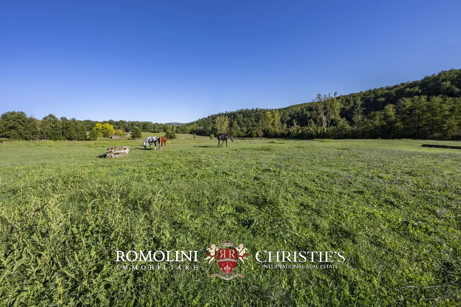 9 Bedroom Horse Property's Image 15