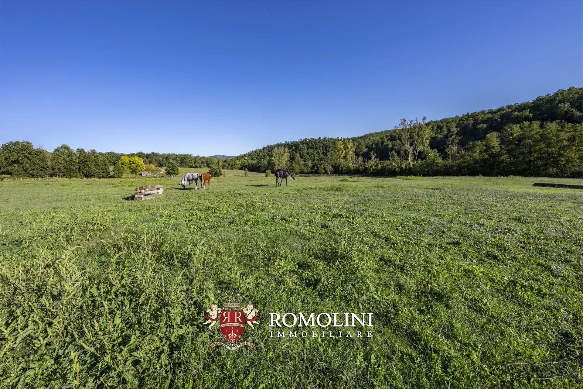 9 Bedroom Horse Property's Image 15
