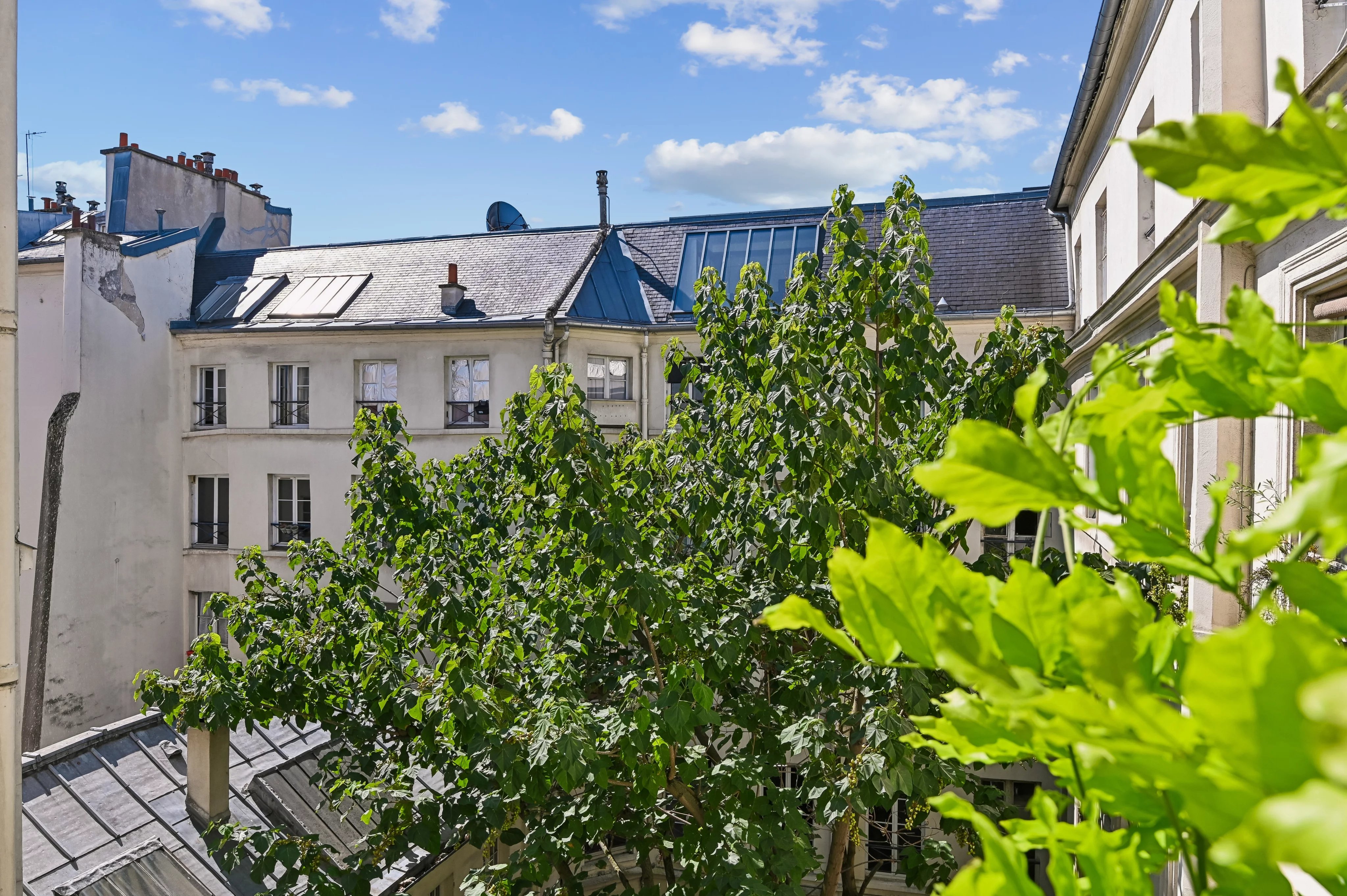 Renovated apartment - Saint Germain des Prés