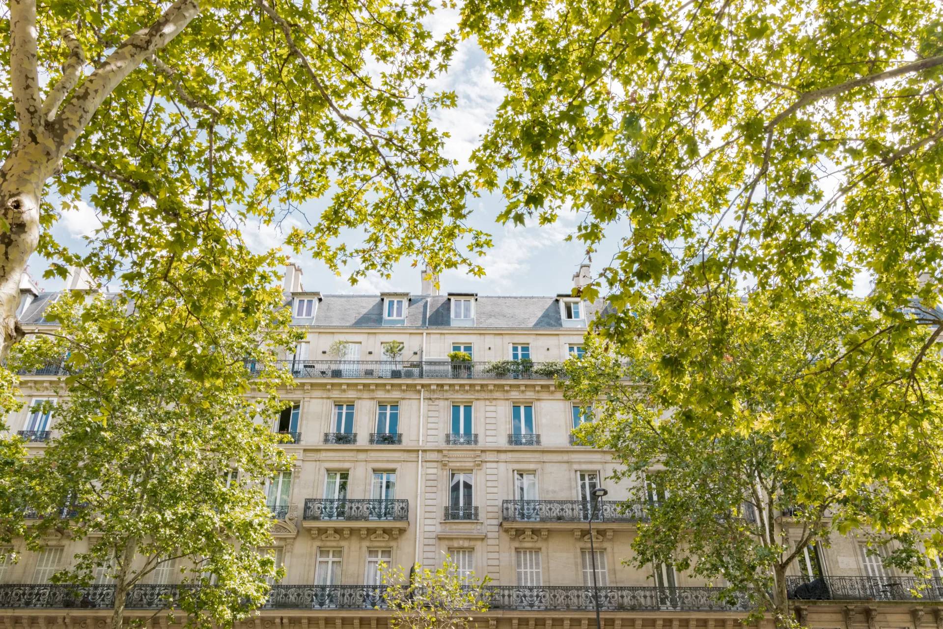 Paris 8e - PARC MONCEAU / TERNES