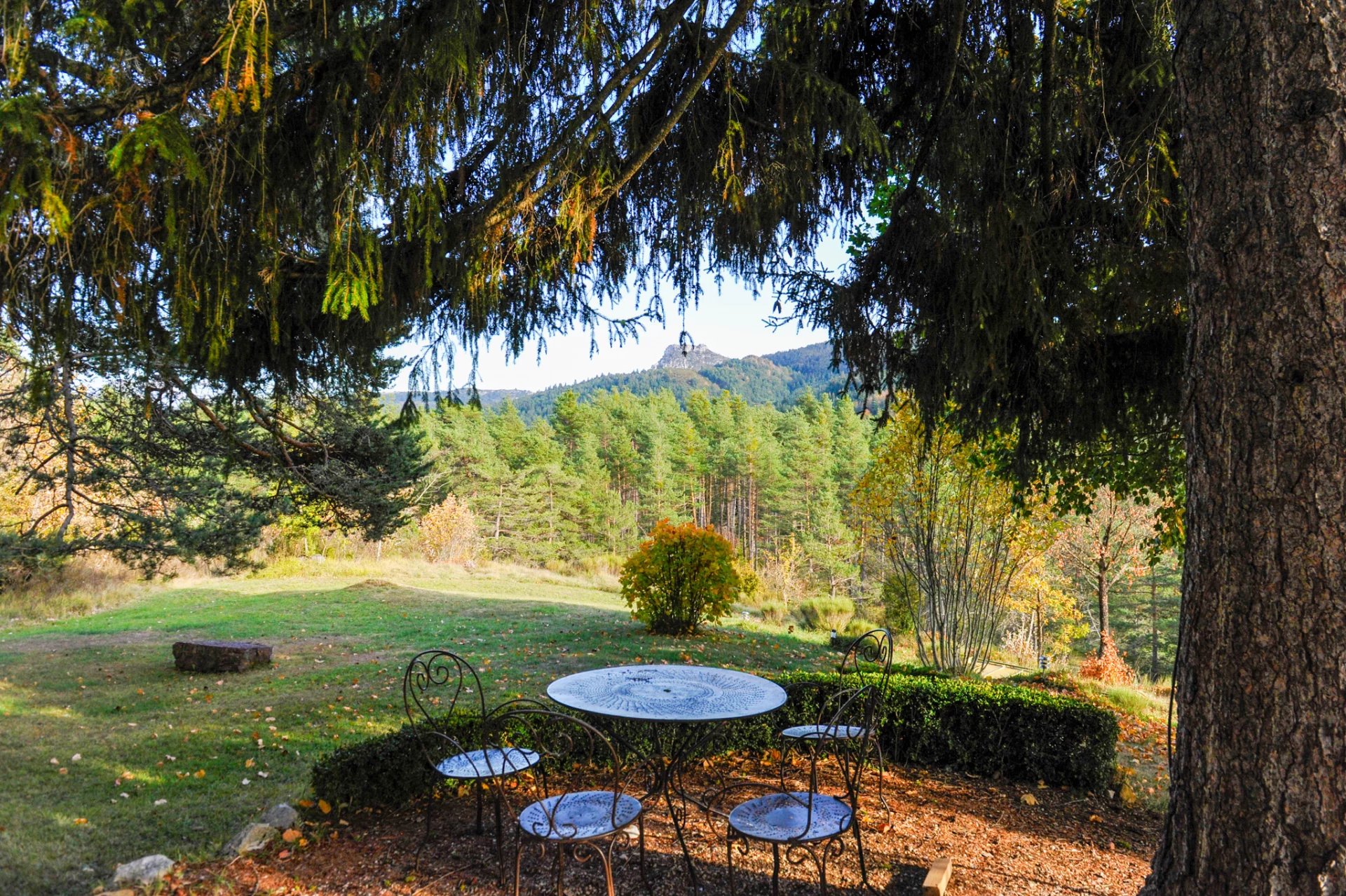 Unique and magnificent house - Andon (Thorenc)