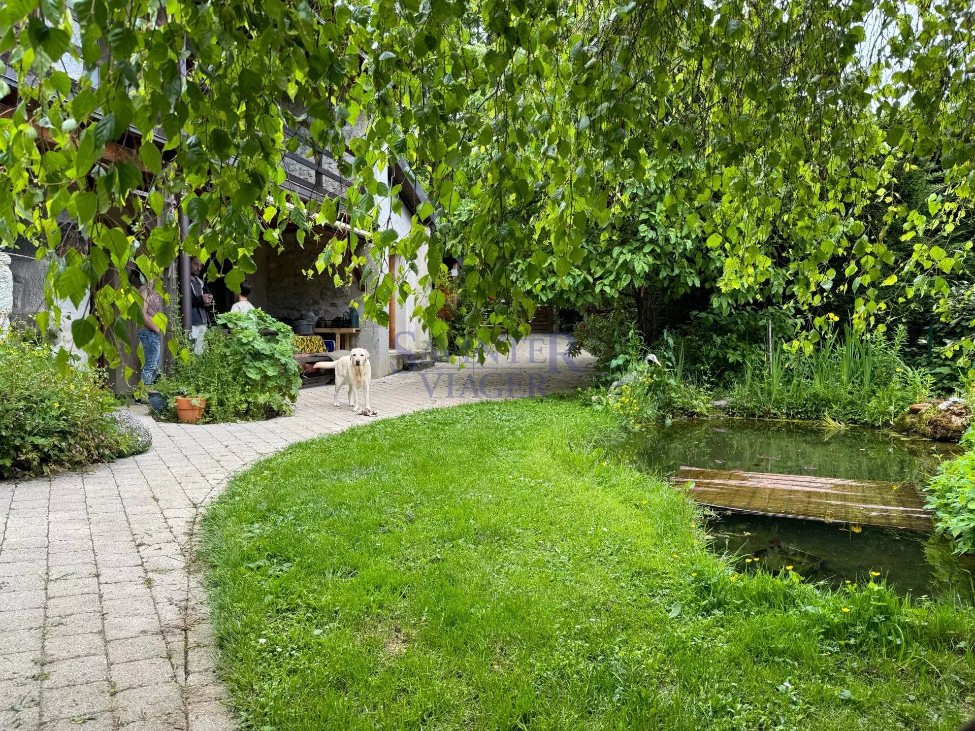 Agence immobilière de Savinter Viager
