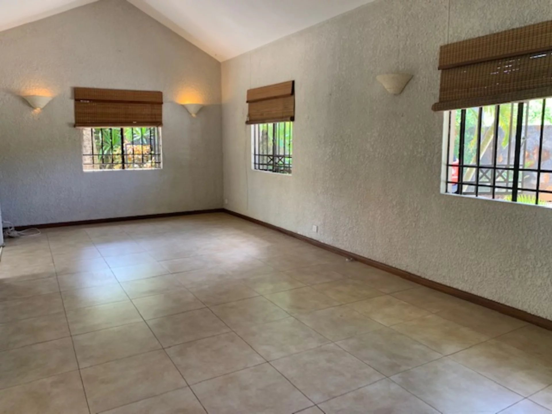 Ev Calodyne - picture 4