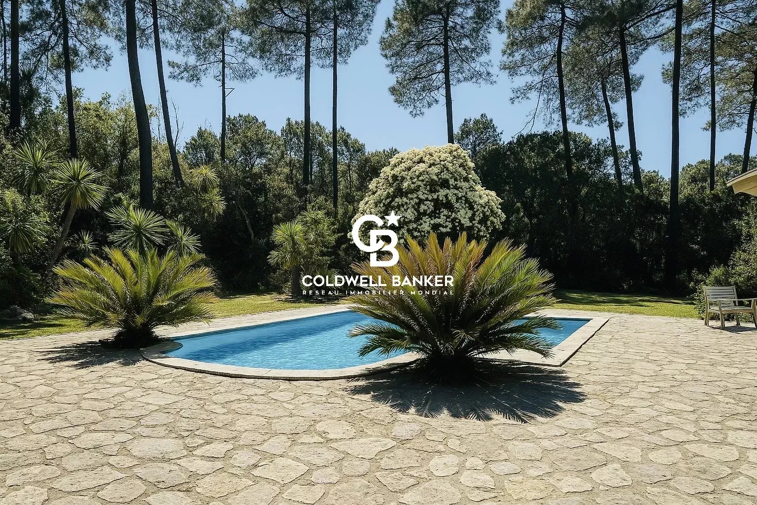 Agence immobilière de Coldwell Banker Surfin Realty