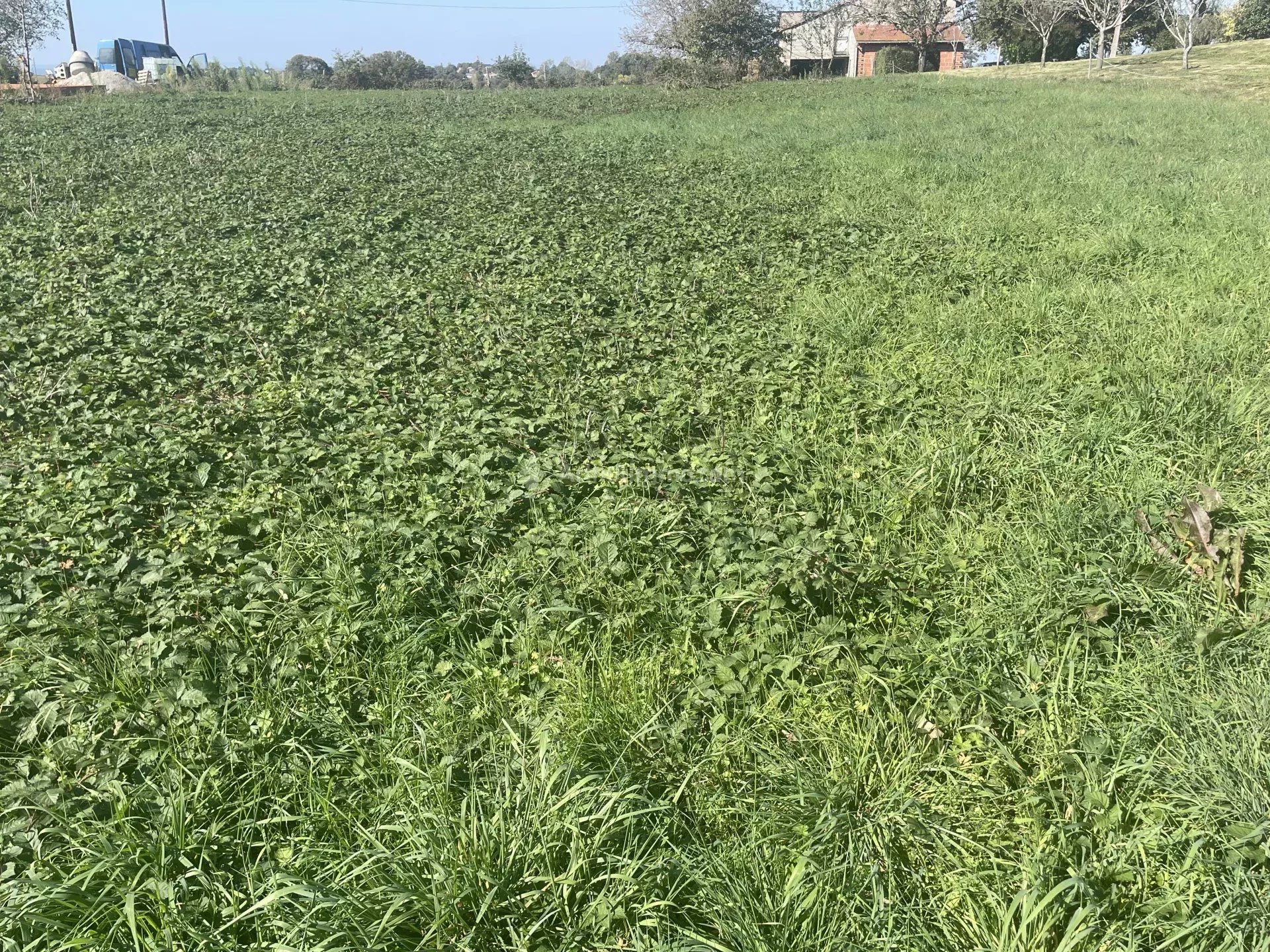 Agence immobilière de Arthurimmo.com - Albi