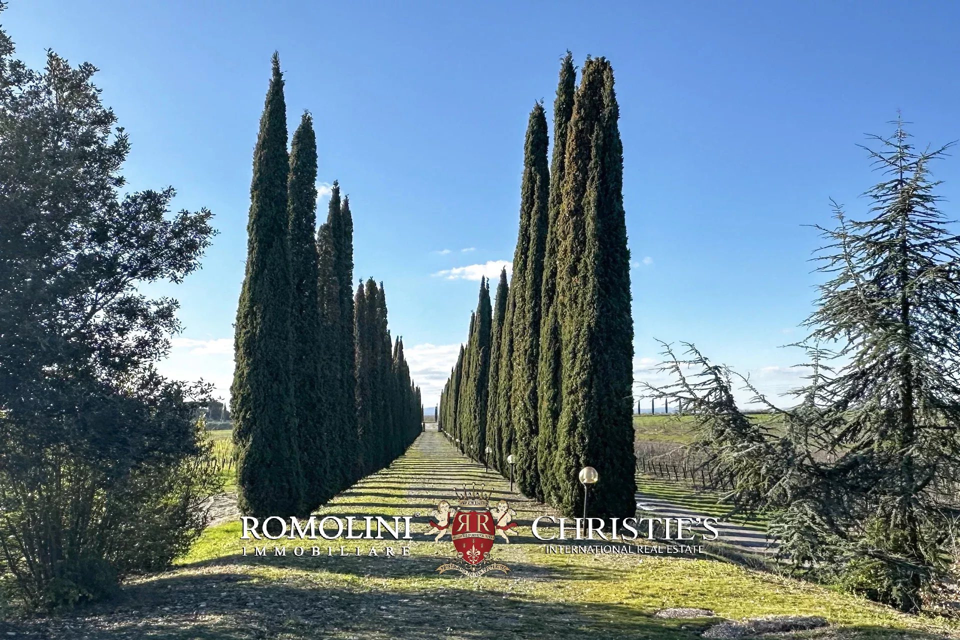8 Bedroom Vineyard's Image 6