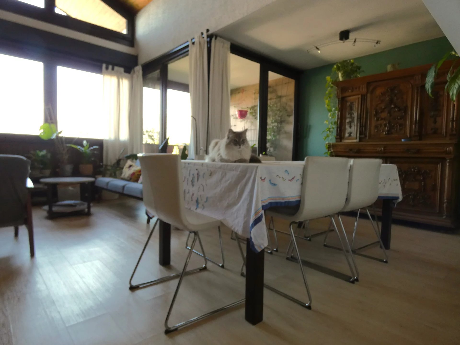 Vente Duplex Chambéry