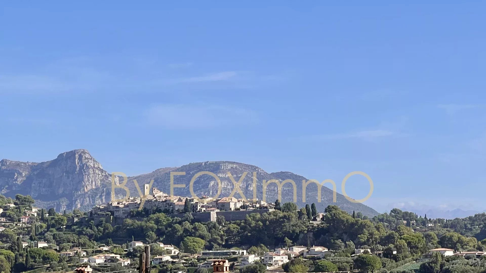Agence immobilière de Foximmo