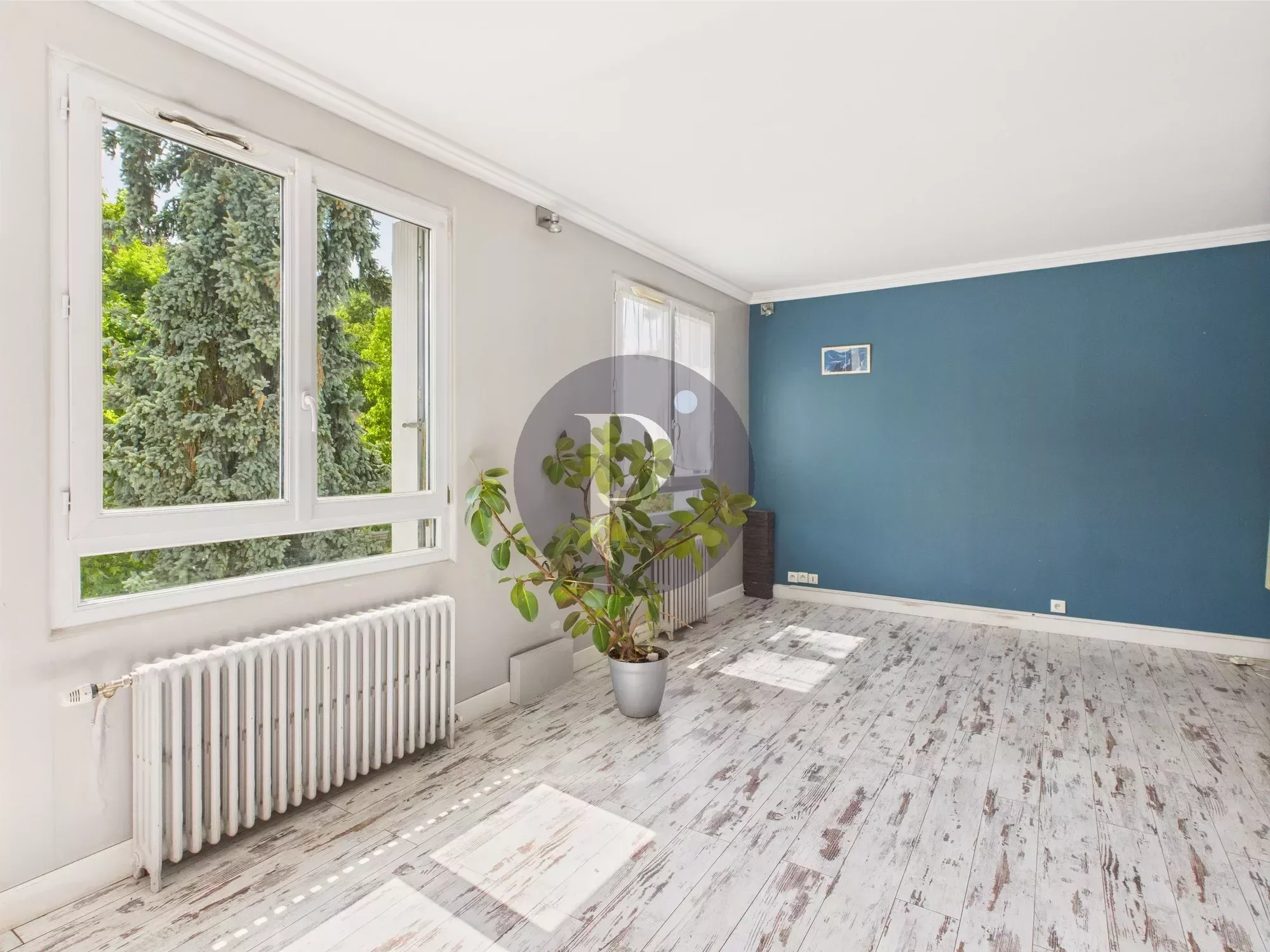 vente-appartement-3-pieces-sceaux-85738585