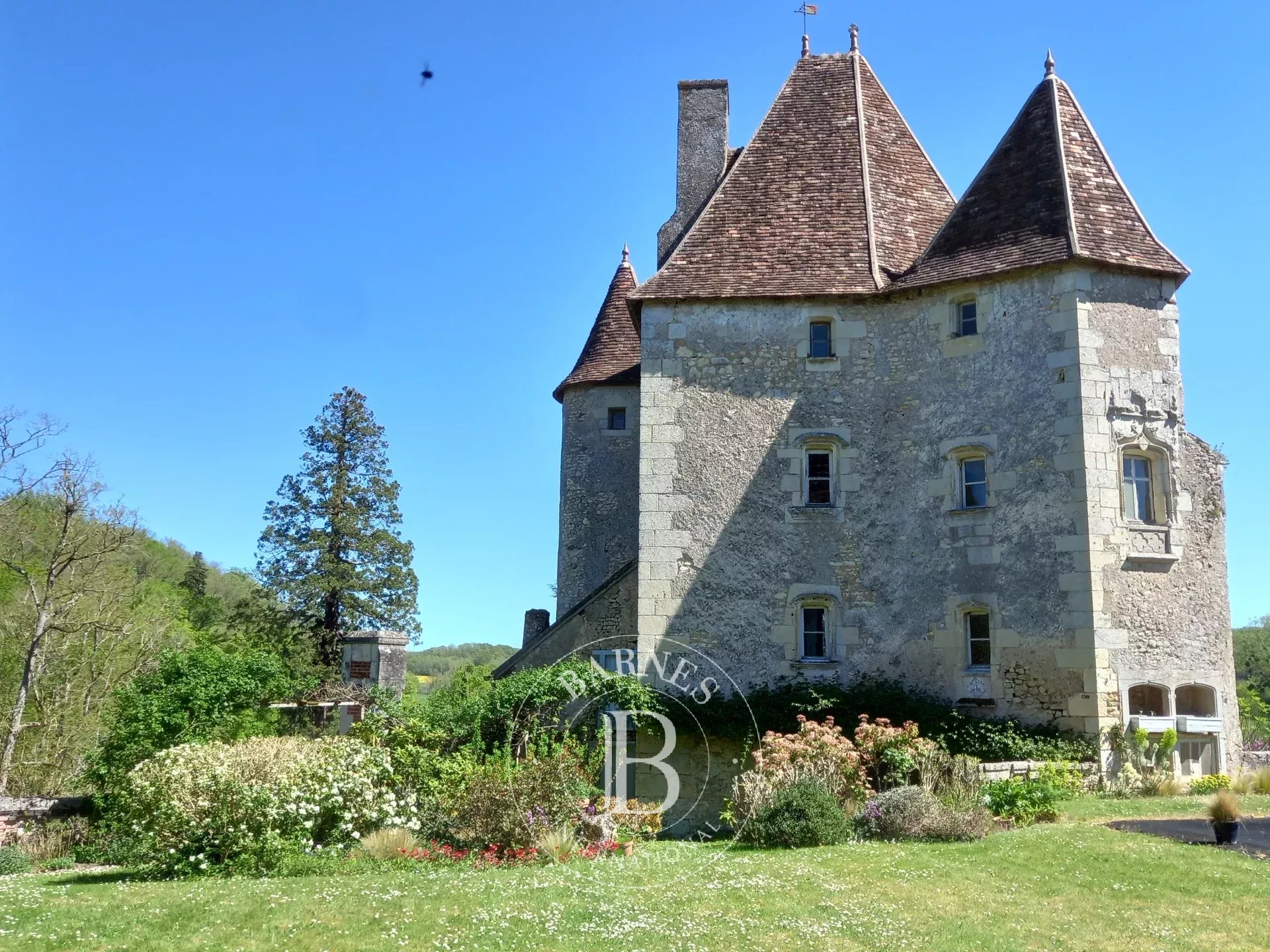 Châtellerault  - Château 9 Pi&egrave;ces 6 Chambres - picture 8