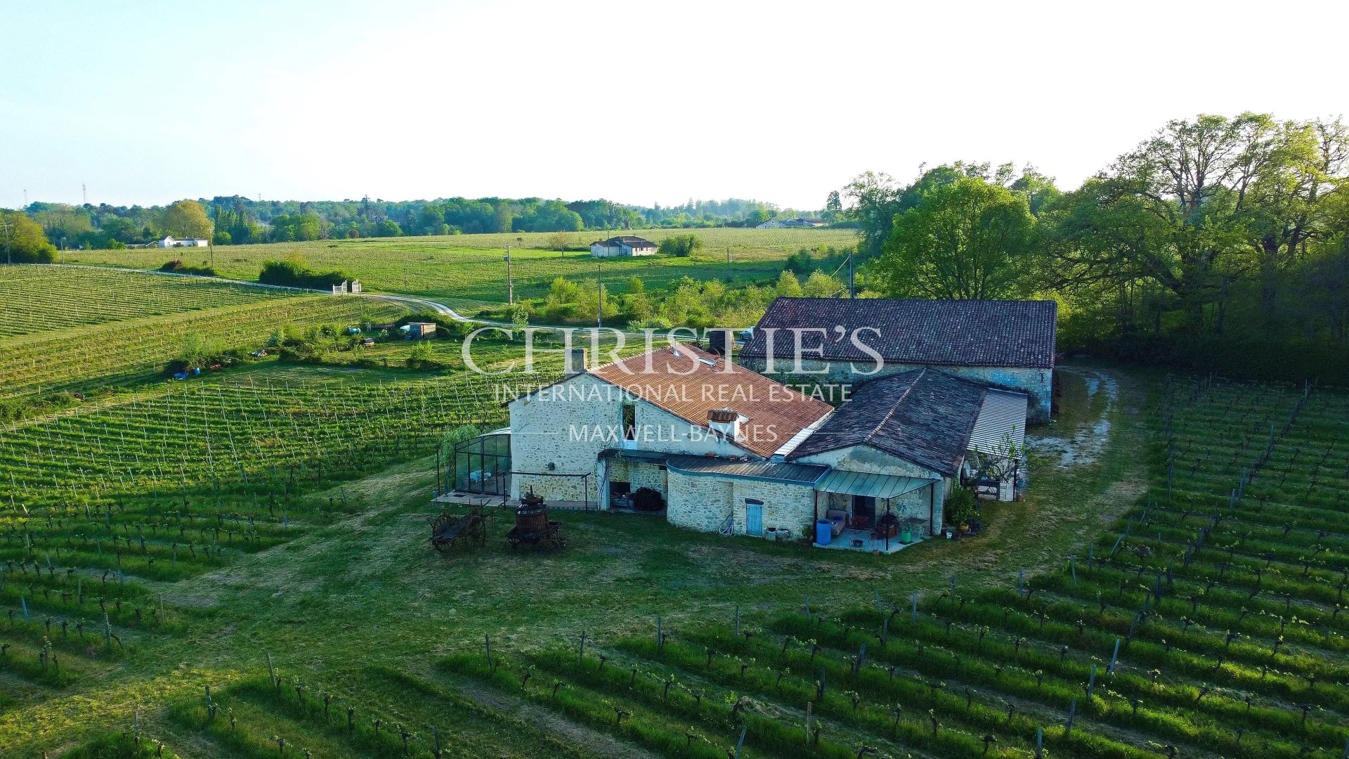 7 Bedroom Vineyard's Image 10