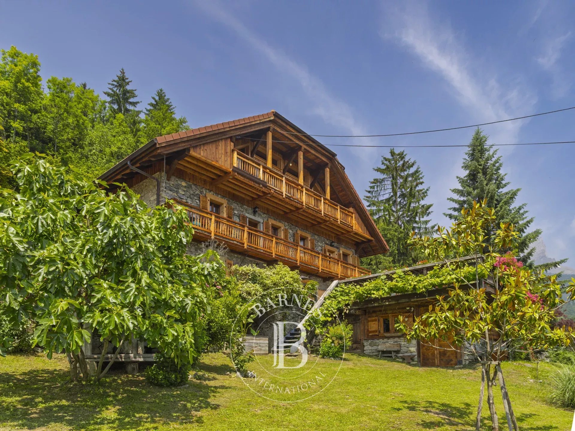 Chalet Passy  -  ref 86615598 (picture 1)