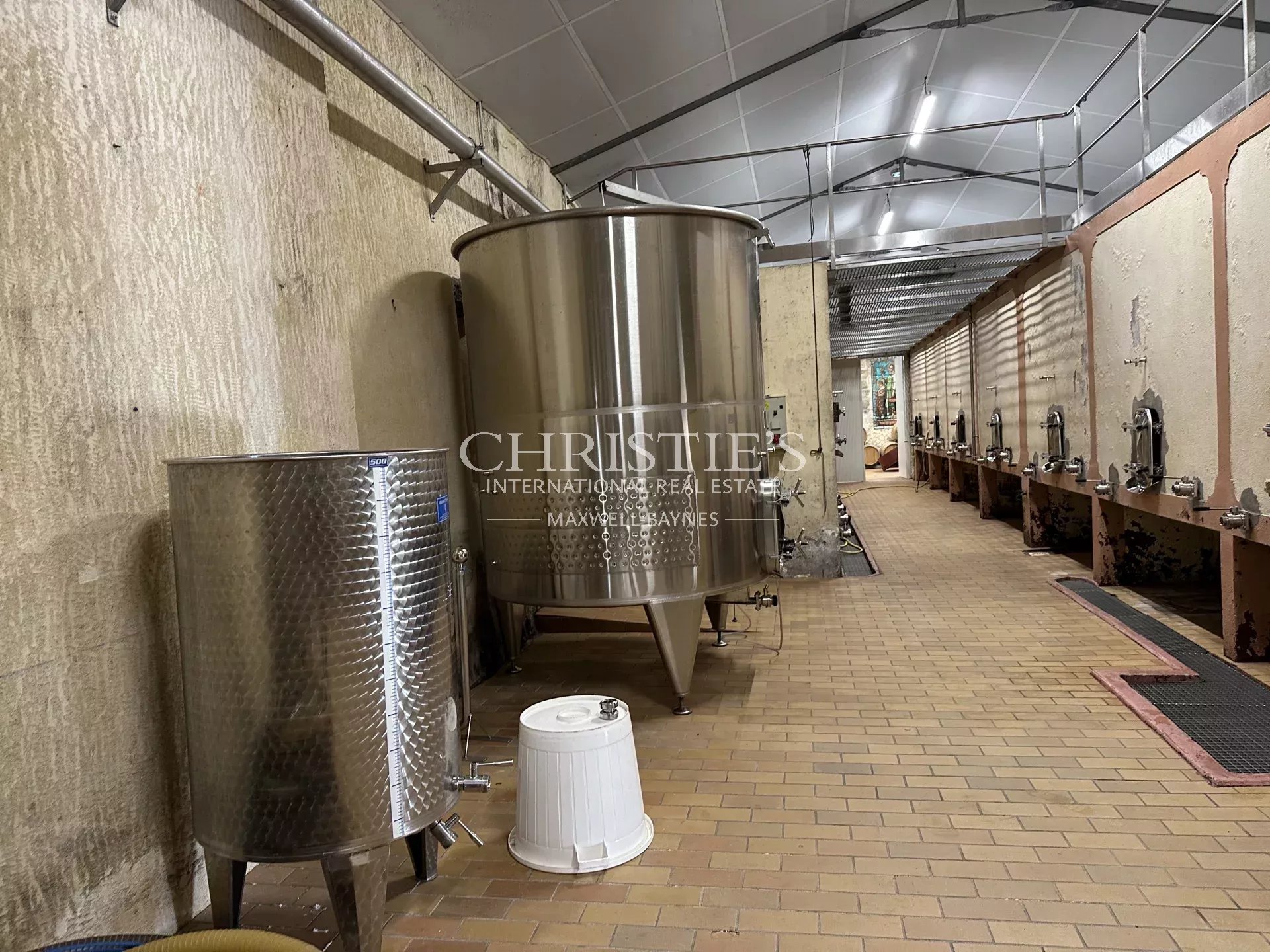 Vineyard's Image 10
