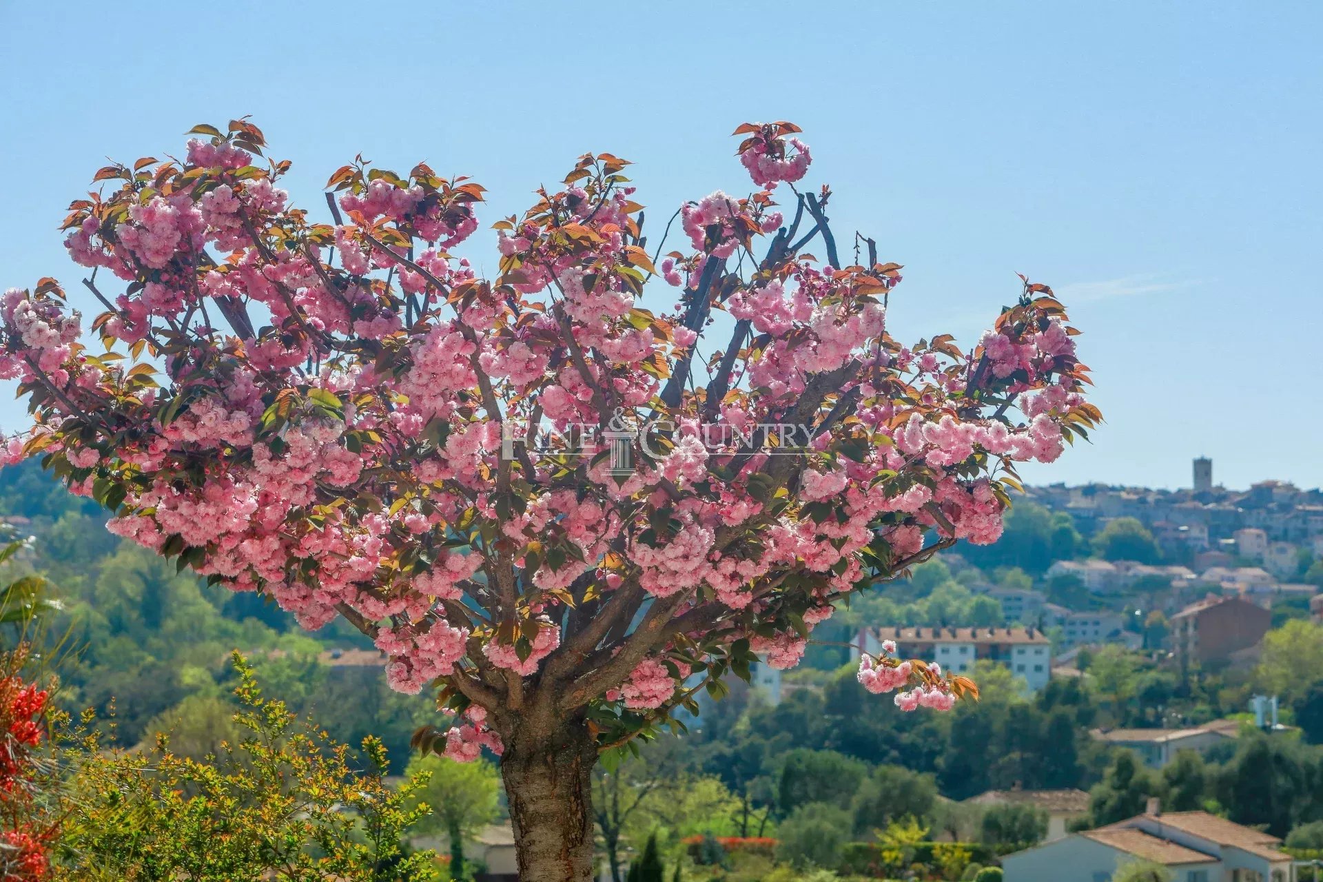 Photo of Villa for sale in Vence