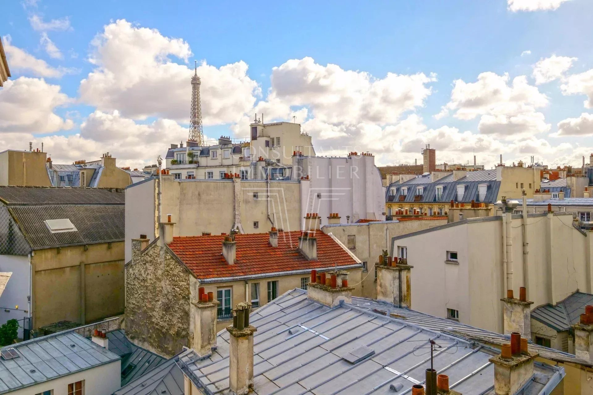 VILLAGE DE PASSY / VUE TOUR EIFFEL