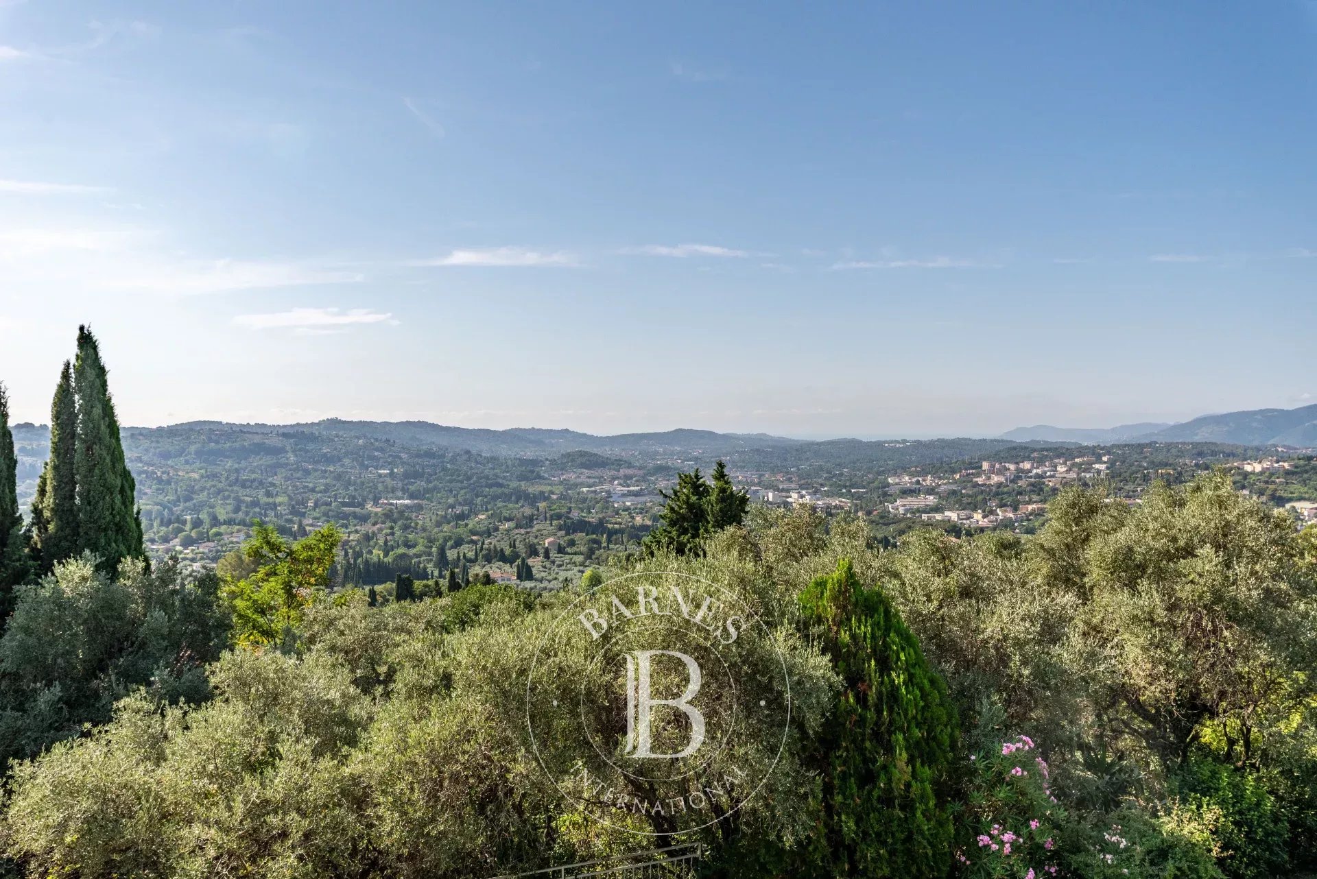 Ev Grasse - picture 13