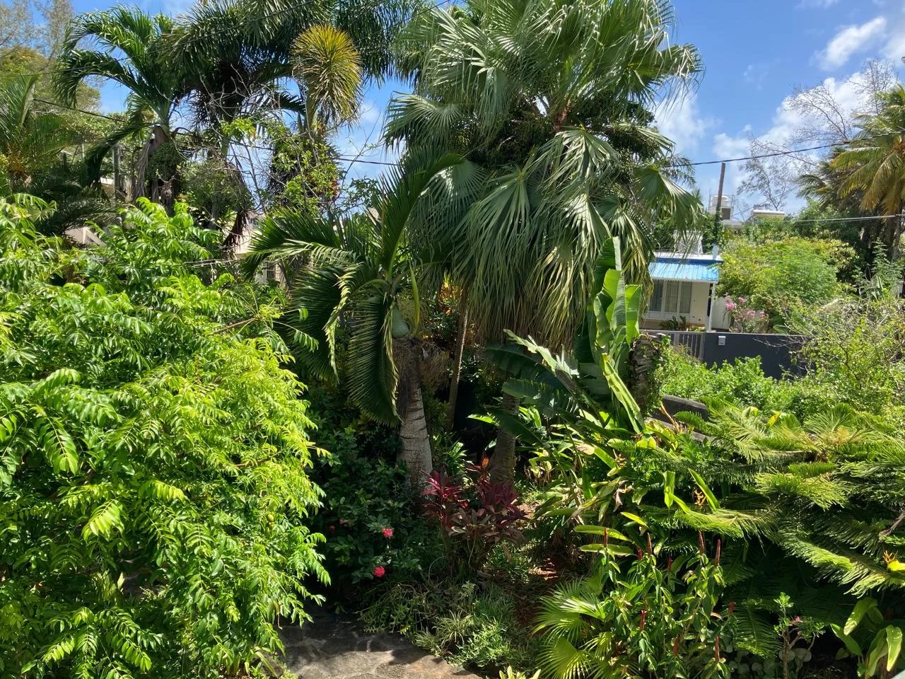 Mülkiyet Roches Noires