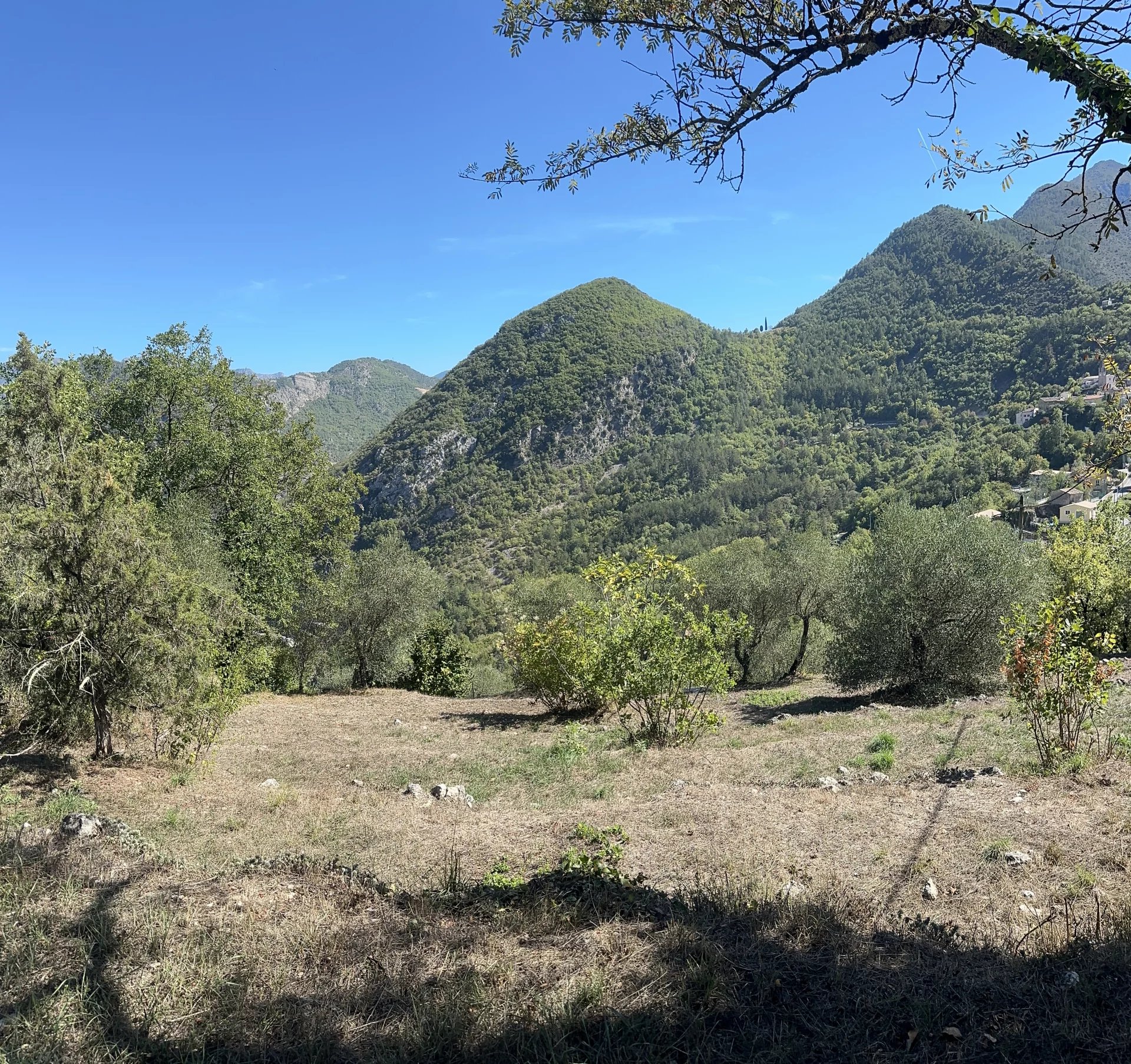 Terrain 1587 m² Constructible, Malaussène