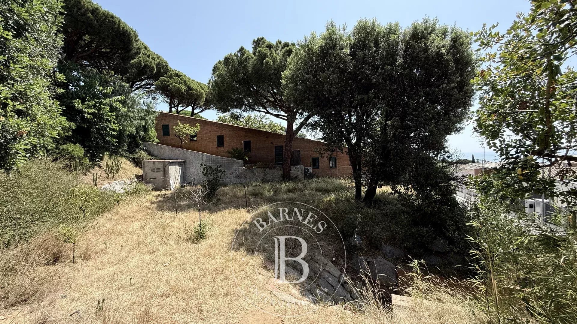 Arazi Premia de Dalt - picture 13