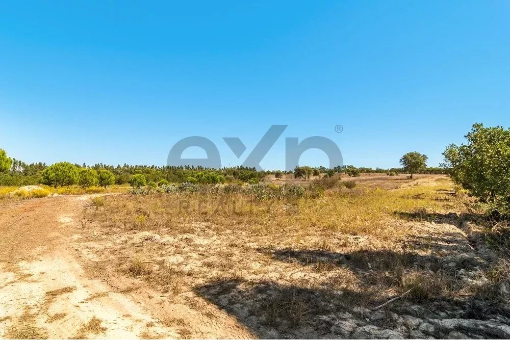 Unmissable Investment in Odemira 85507464 image 3