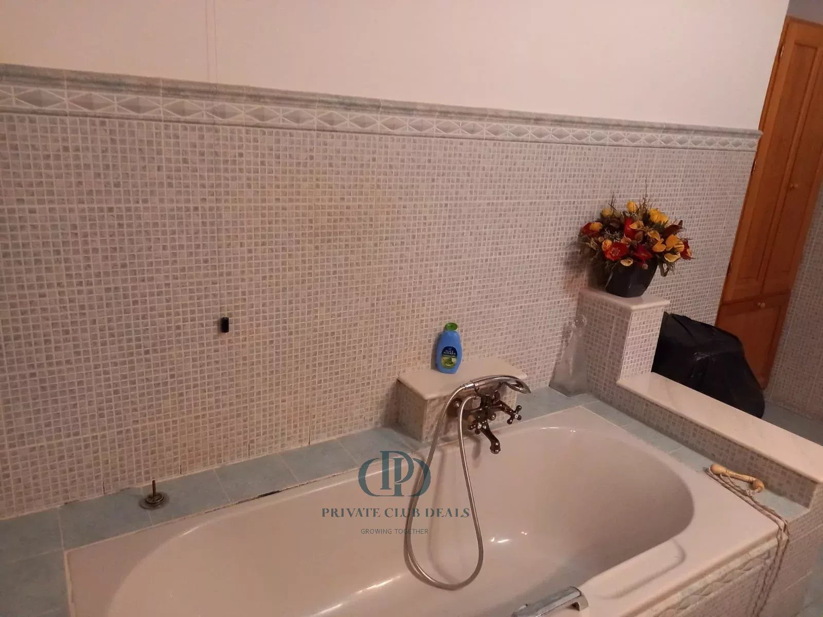 Villa Dolceacqua - picture 29