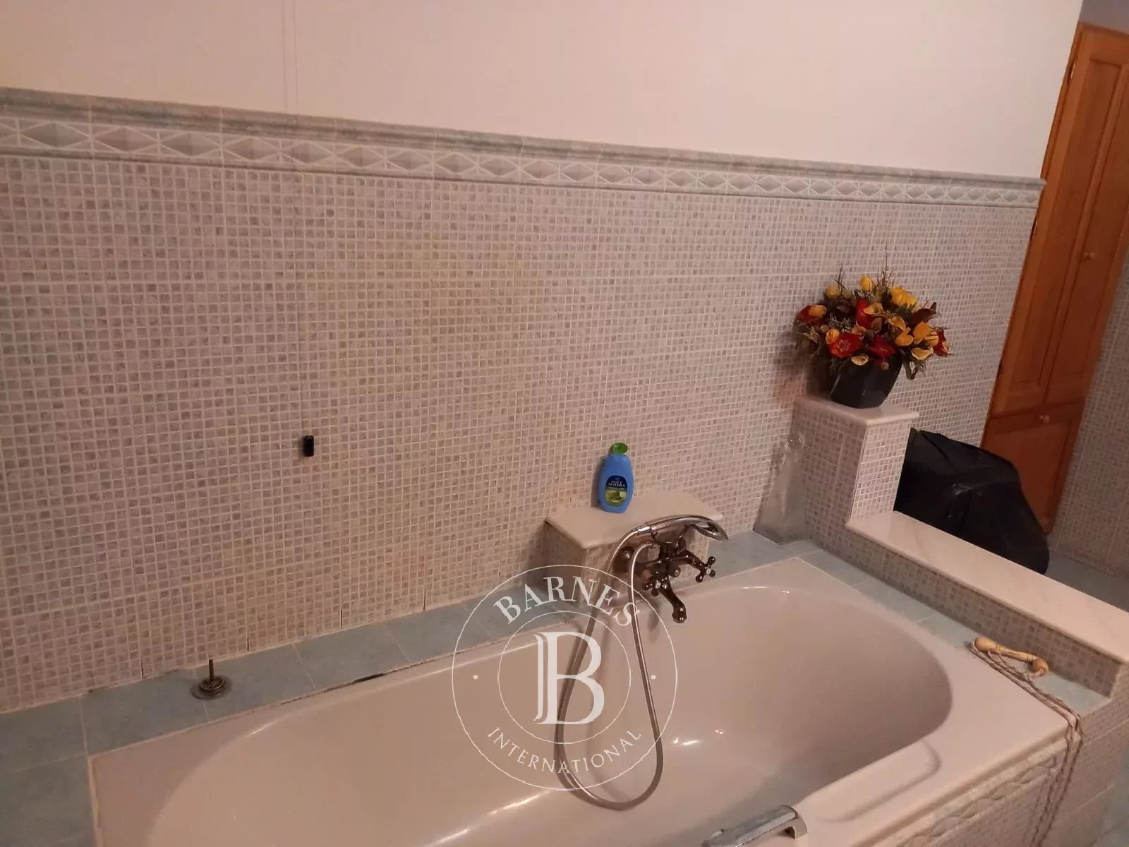 Villa Dolceacqua - picture 29