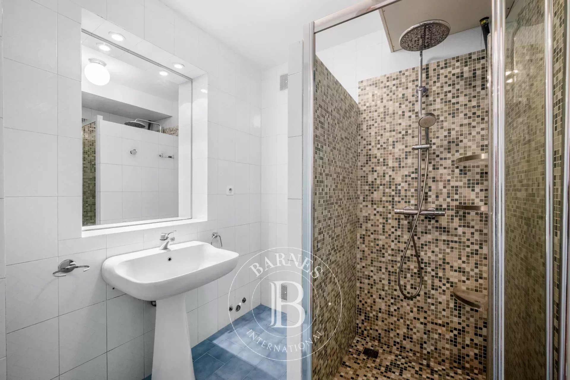 Daire Beausoleil - picture 7