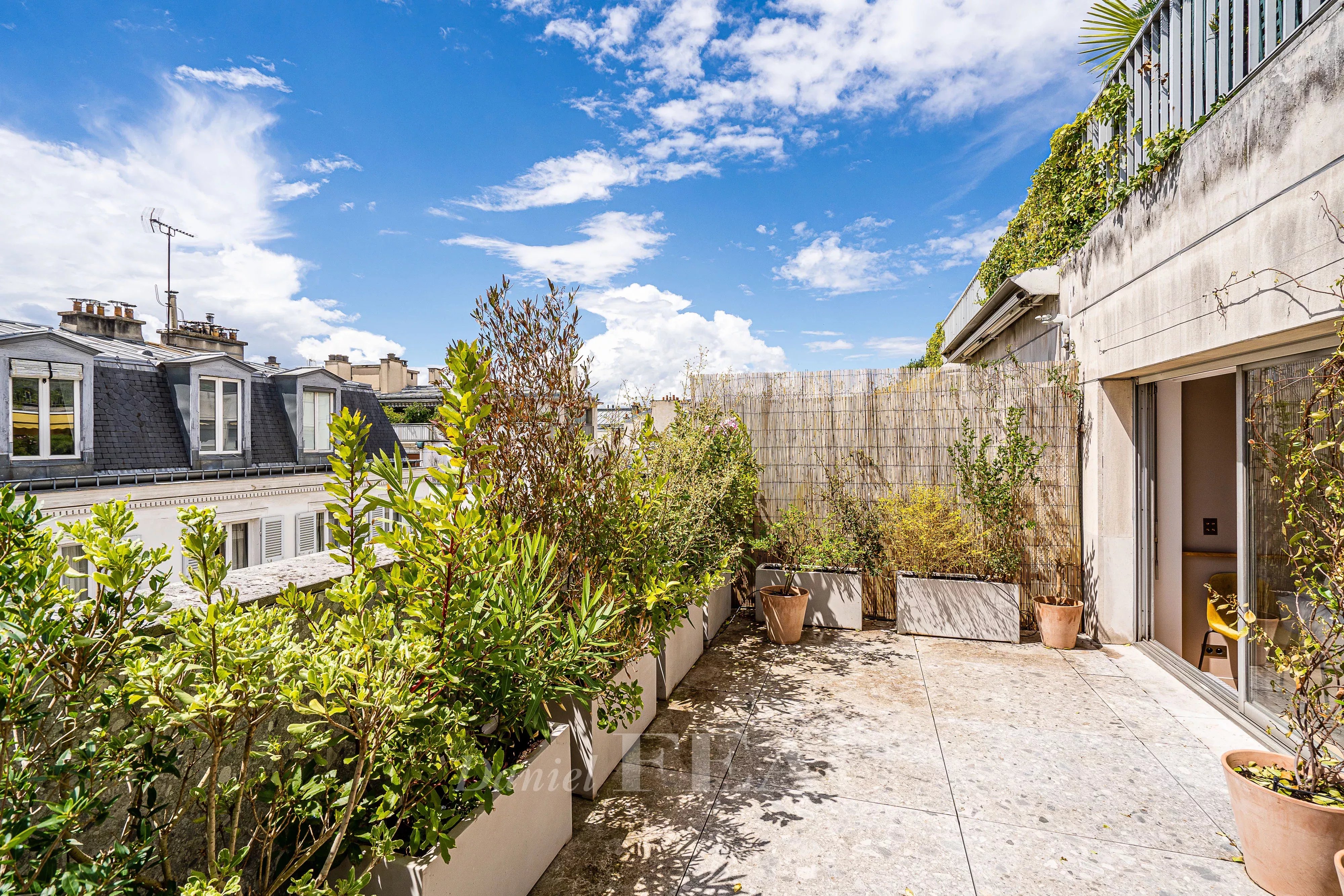 Sale Apartment Paris 6th