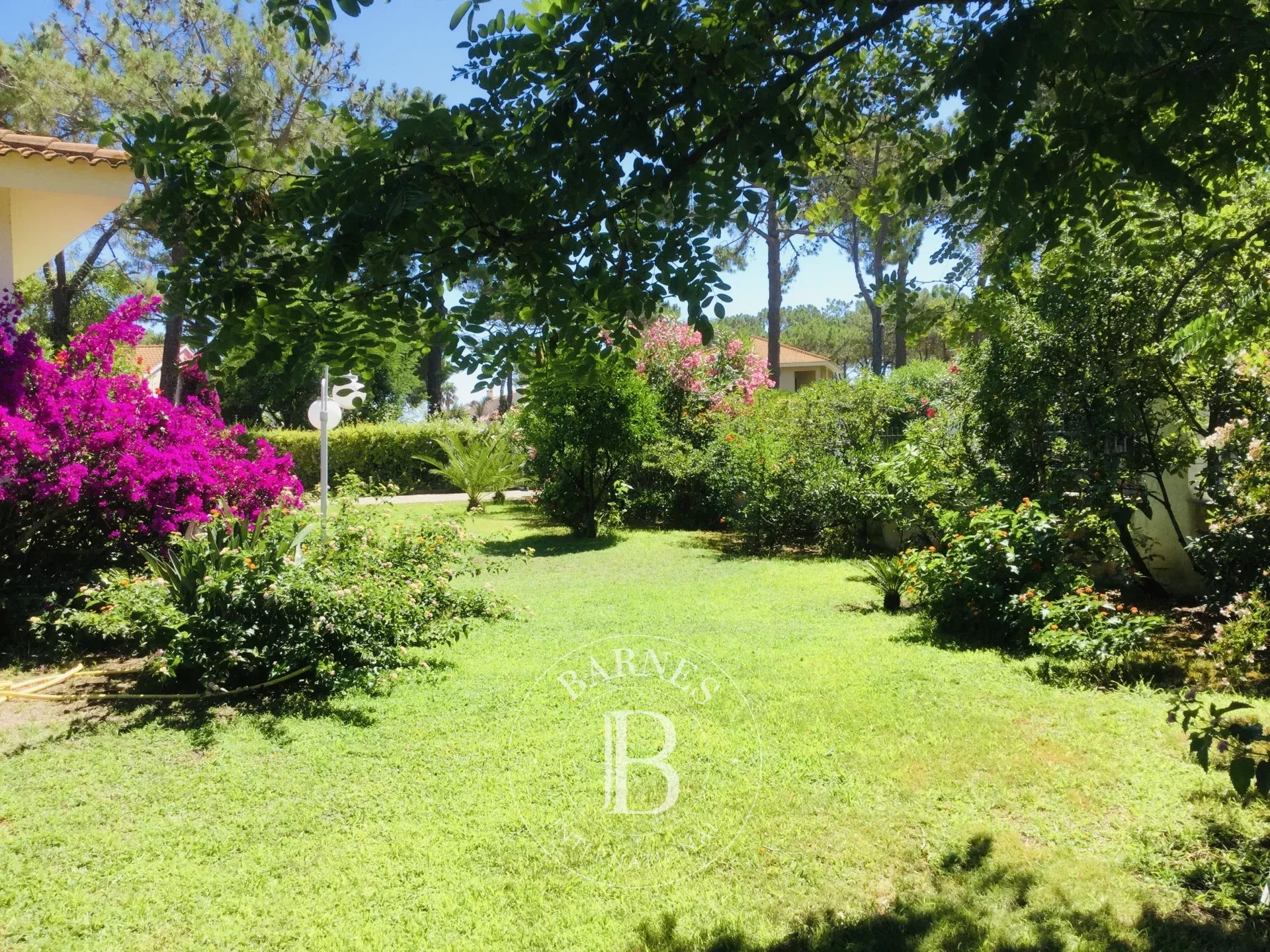 Maison Bastia  -  ref 86640932 (picture 2)