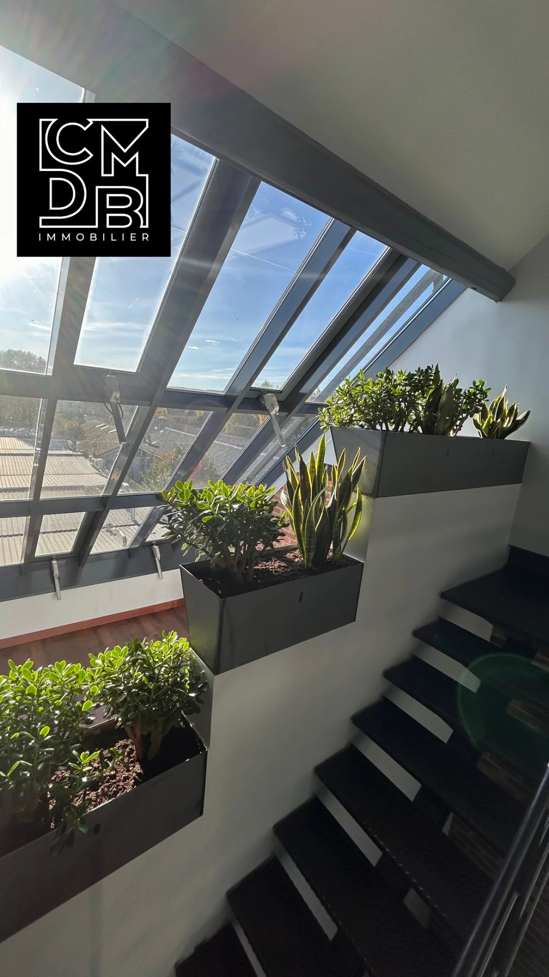 Agence immobilière de 