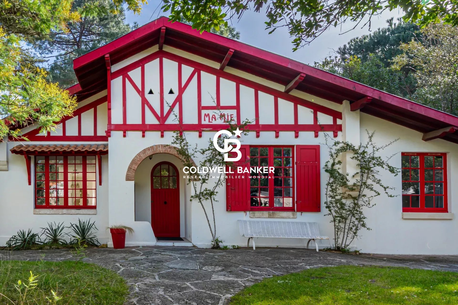 Agence immobilière de Silver Coast Int. Realty