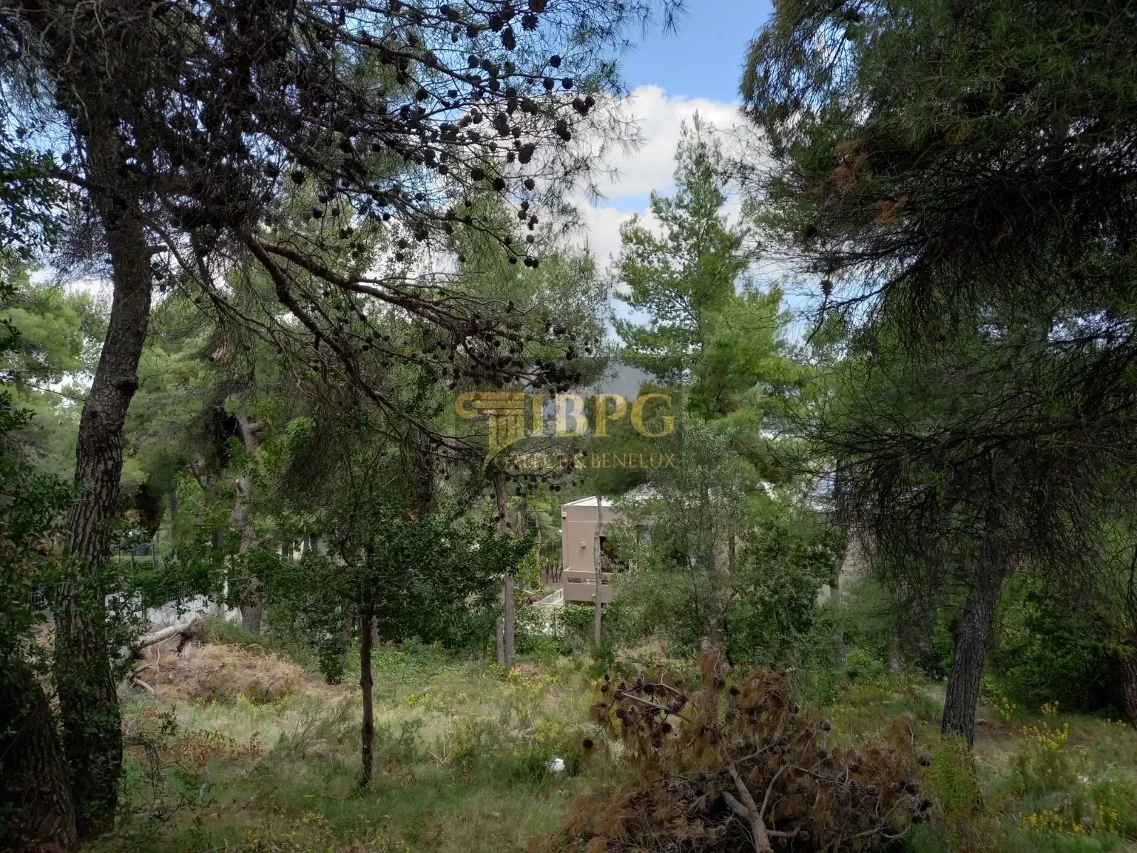 for sale Land in Ekali Attica 1150m2 ,1100000€
