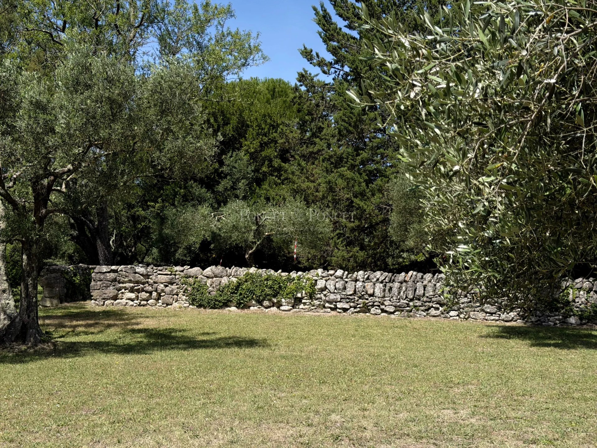 4 Bedroom Villa/Townhouse's Image 7