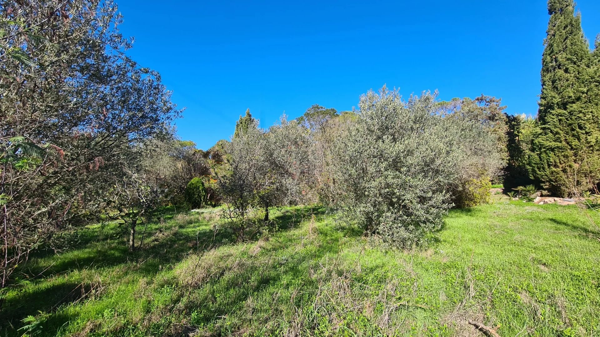 TERRAIN A BATIR AVEC PERMIS DE CONSTRUIRE A SAINT RAPHAEL A 5 MN DE LA MER