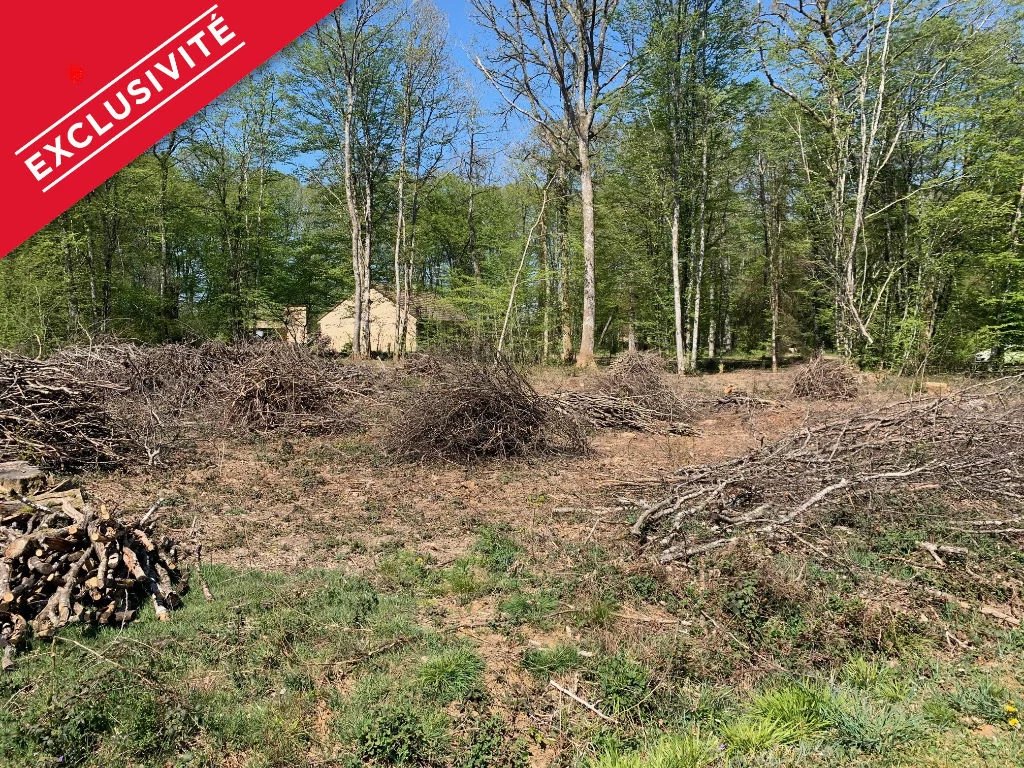 Vente Terrain Saint-Fargeau