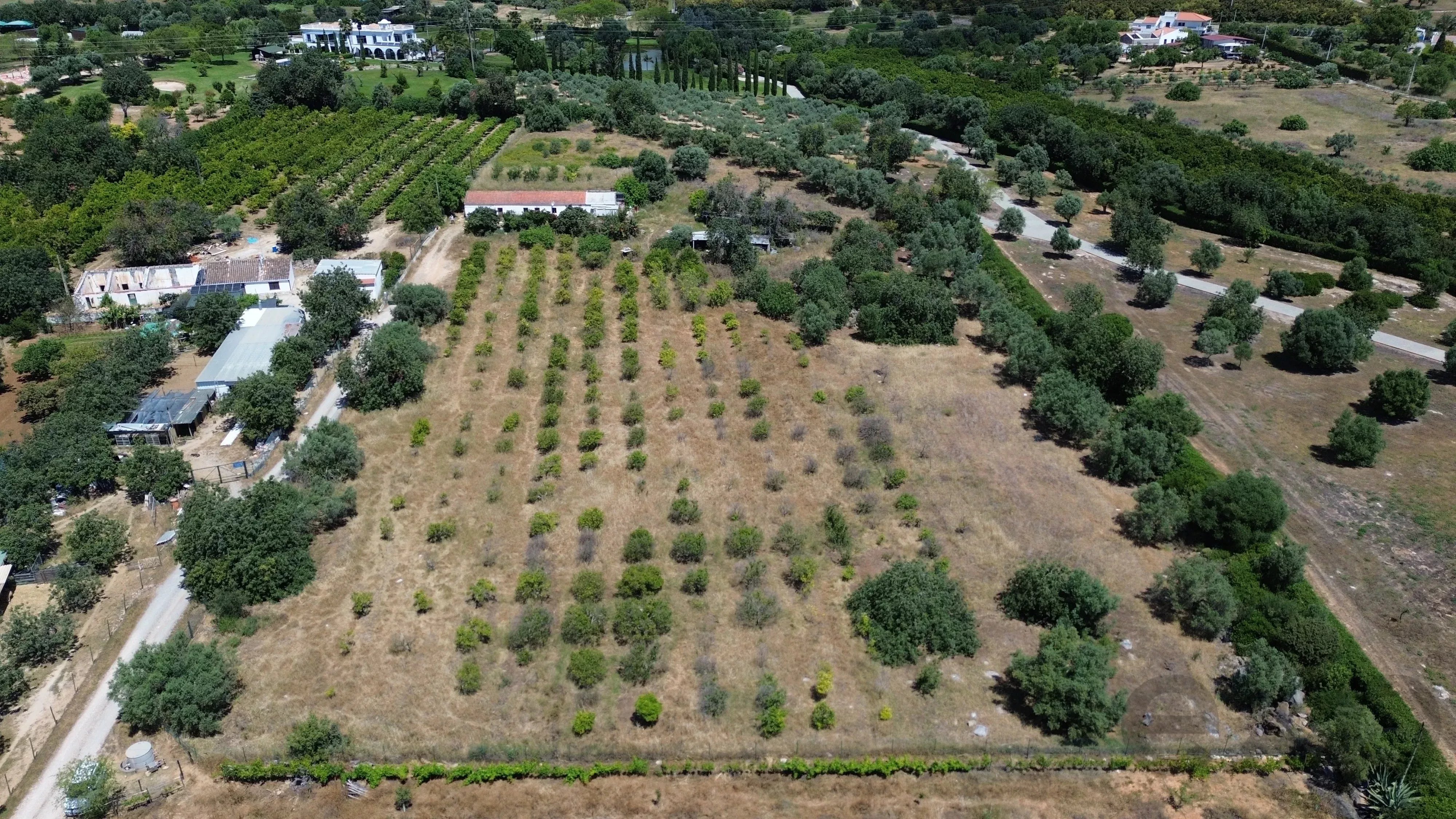 6 room Farmhouse with 1.5 hectares of land and sea view 86949039 image 2
