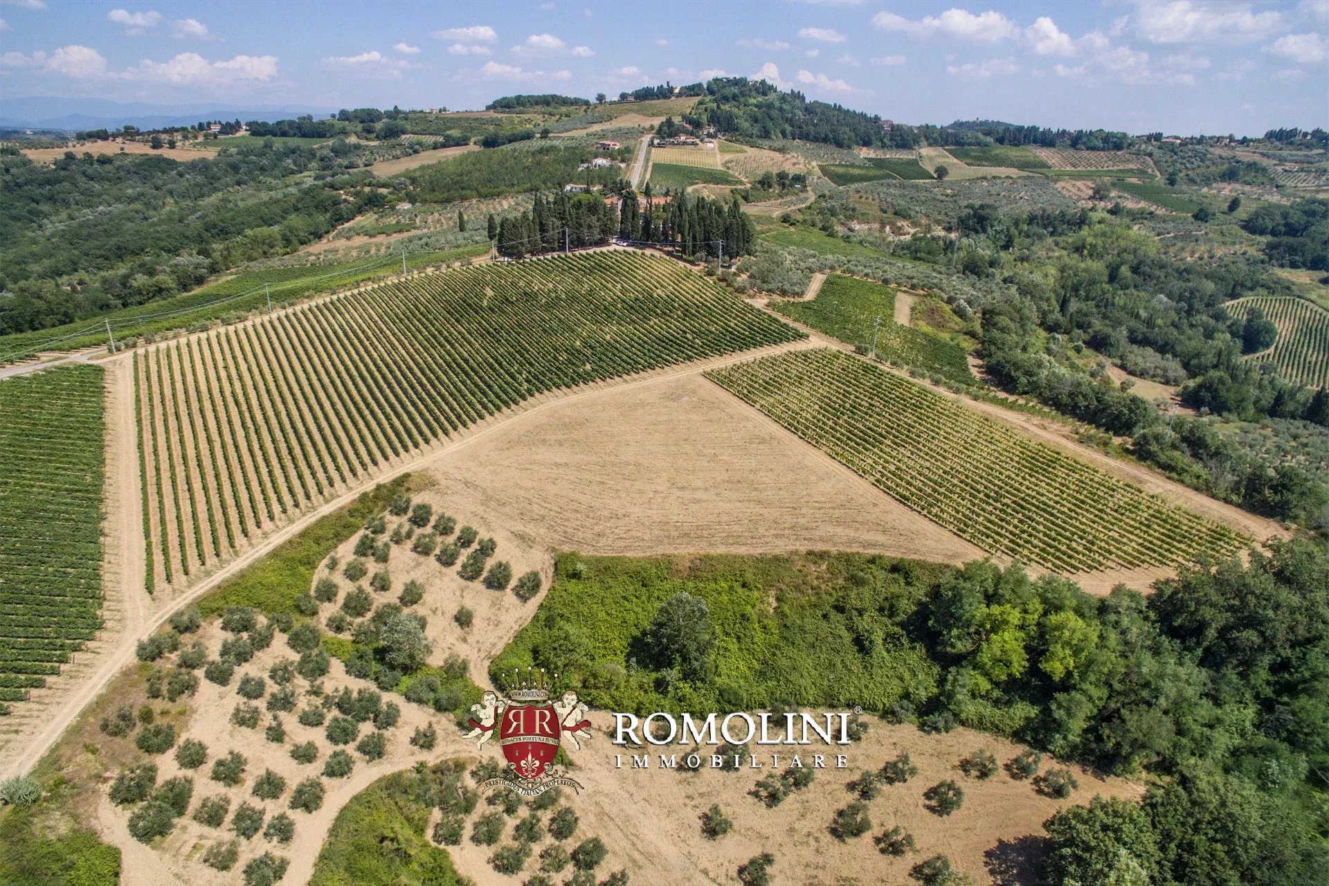 5 Bedroom Vineyard's Image 3