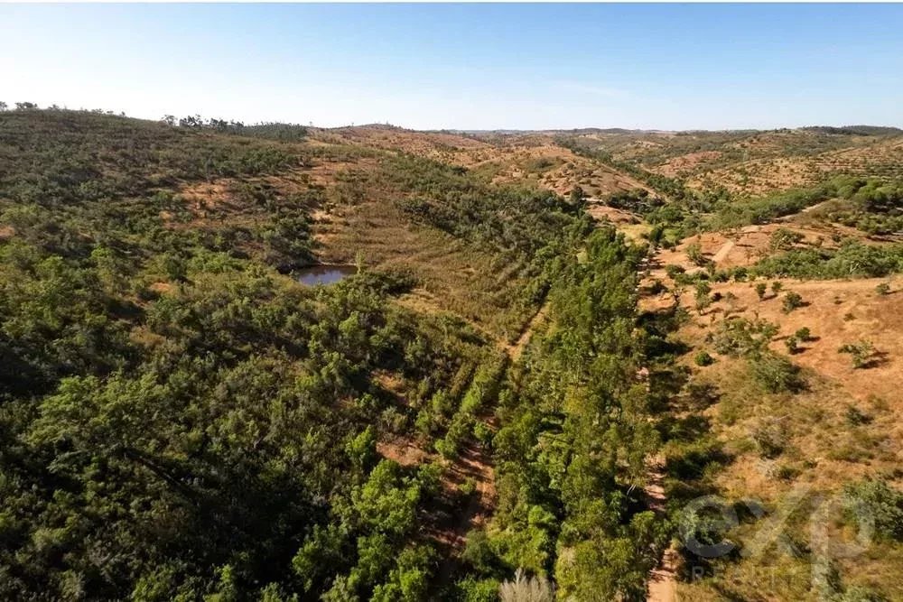 Exceptional 65-Hectare Estate in Alentejo with Tourism Development Potential 85506160 image 12