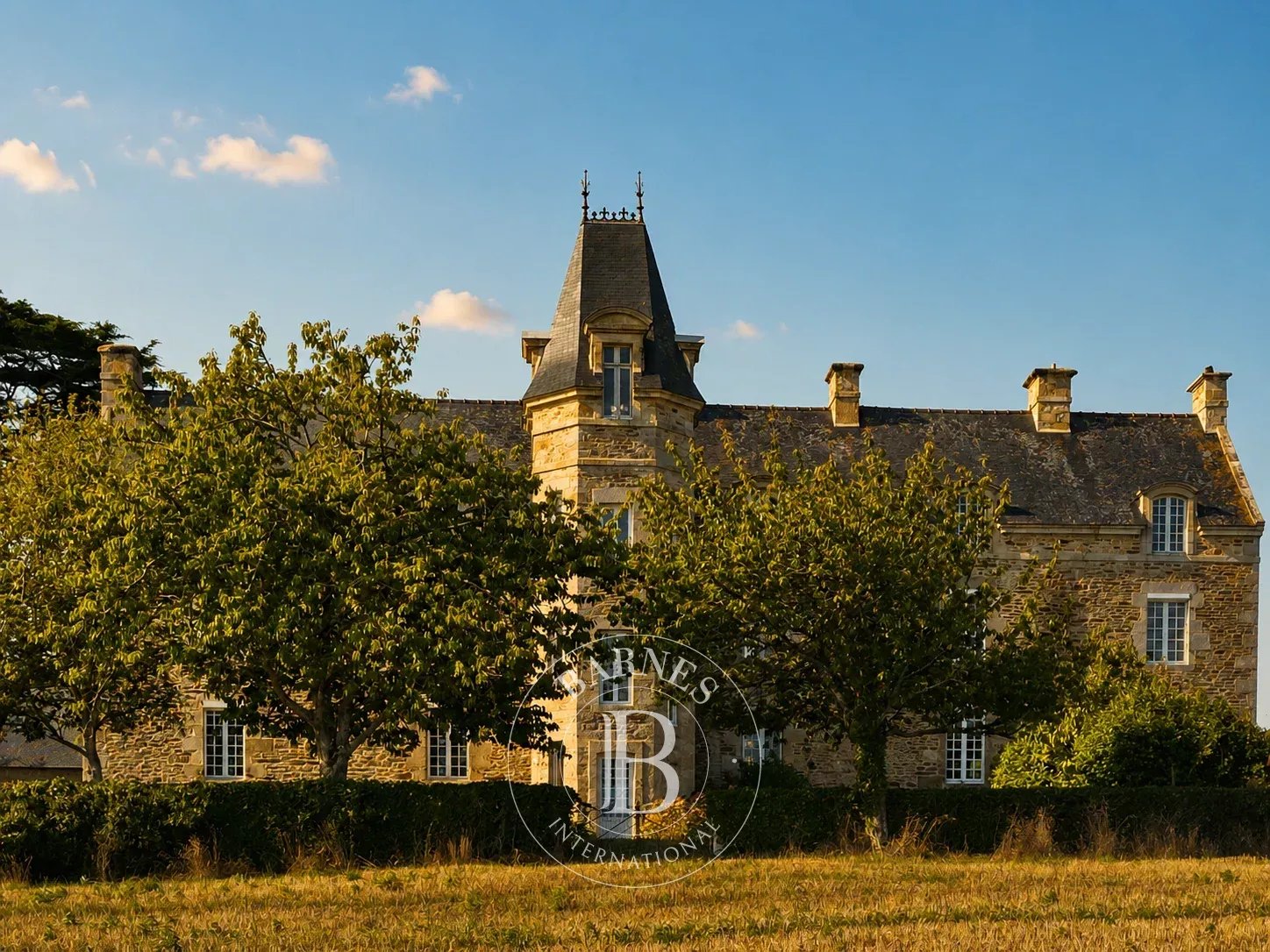 Château Saint-Cast-le-Guildo  -  ref 82330922 (picture 3)