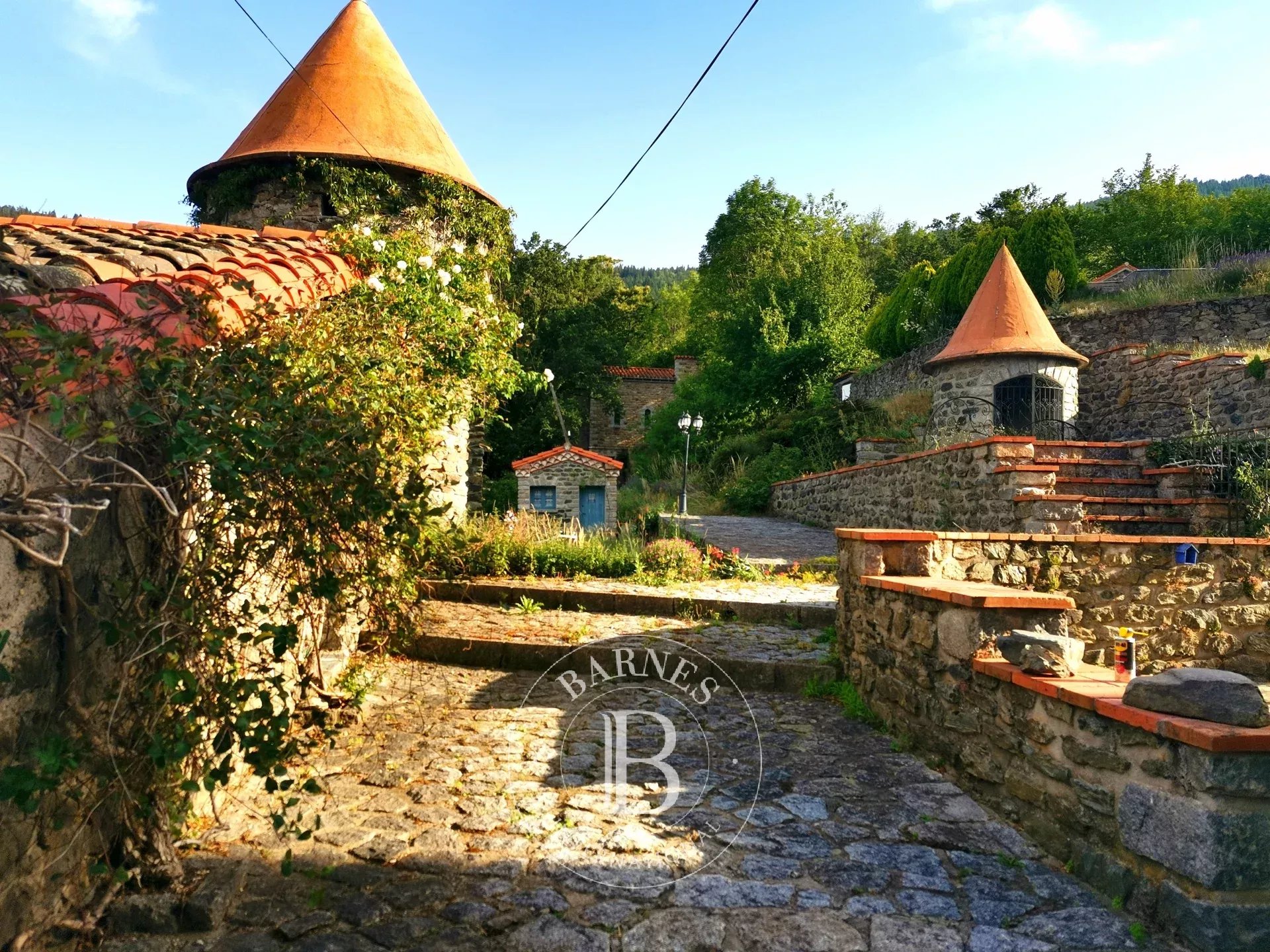 Mülkiyet Prats-de-Mollo-la-Preste - picture 13