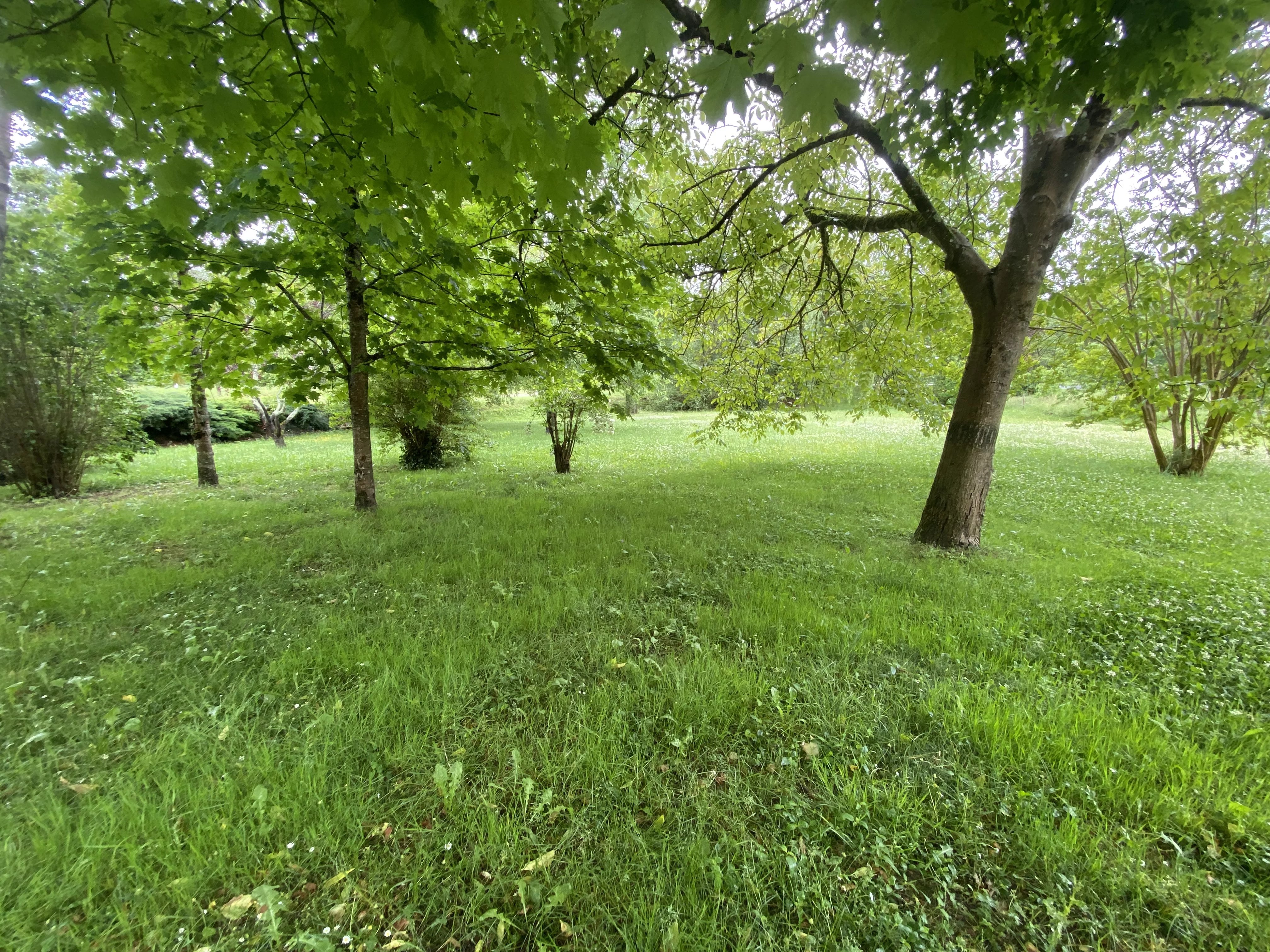 Vente Ferme Aurignac