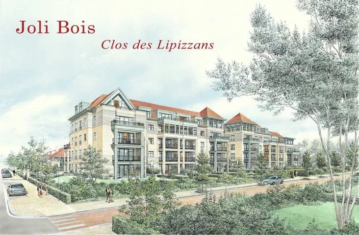 realisatie Joli - Bois