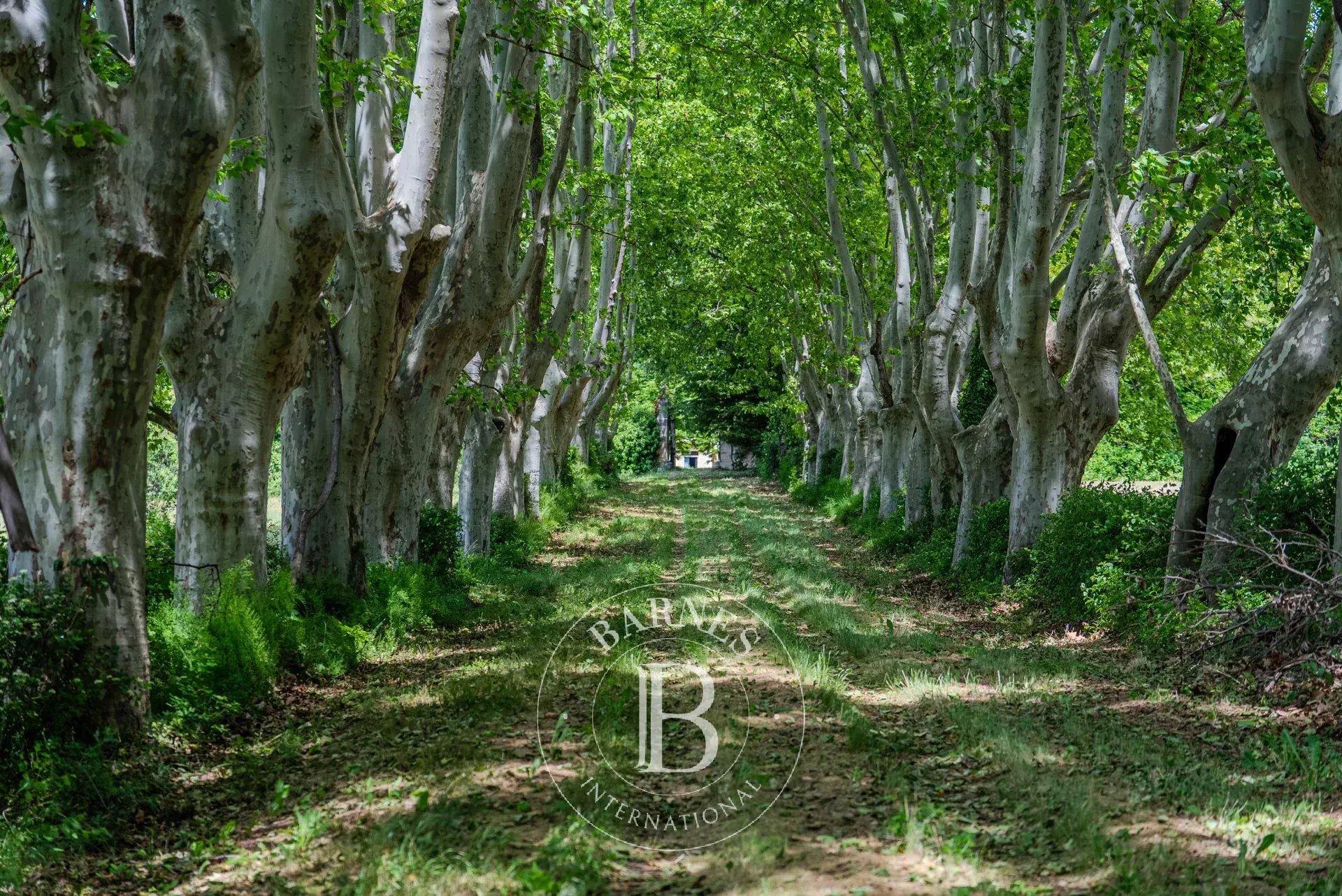 PROVENCE - LUBERON - 17th-Century Provençal Bastide to Renovate – 800sqm- 3 ha - picture 4