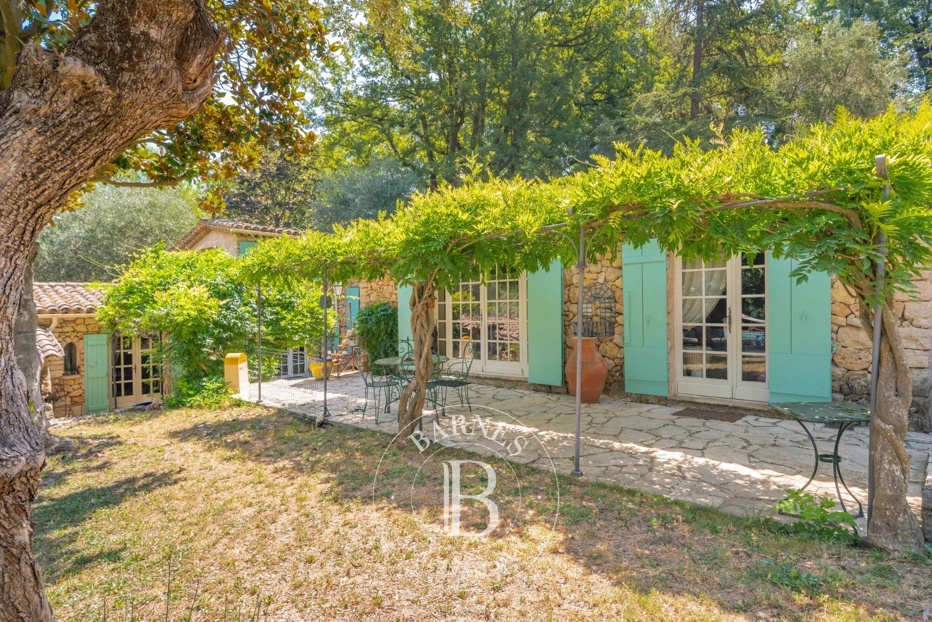 Ev Opio - picture 12