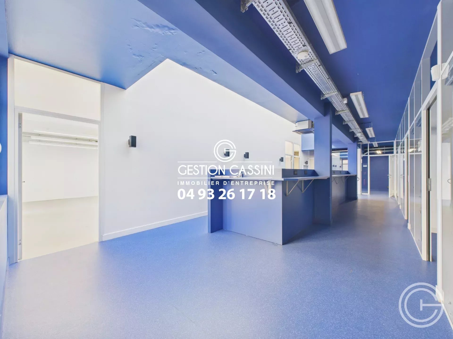 Location Local commercial Nice