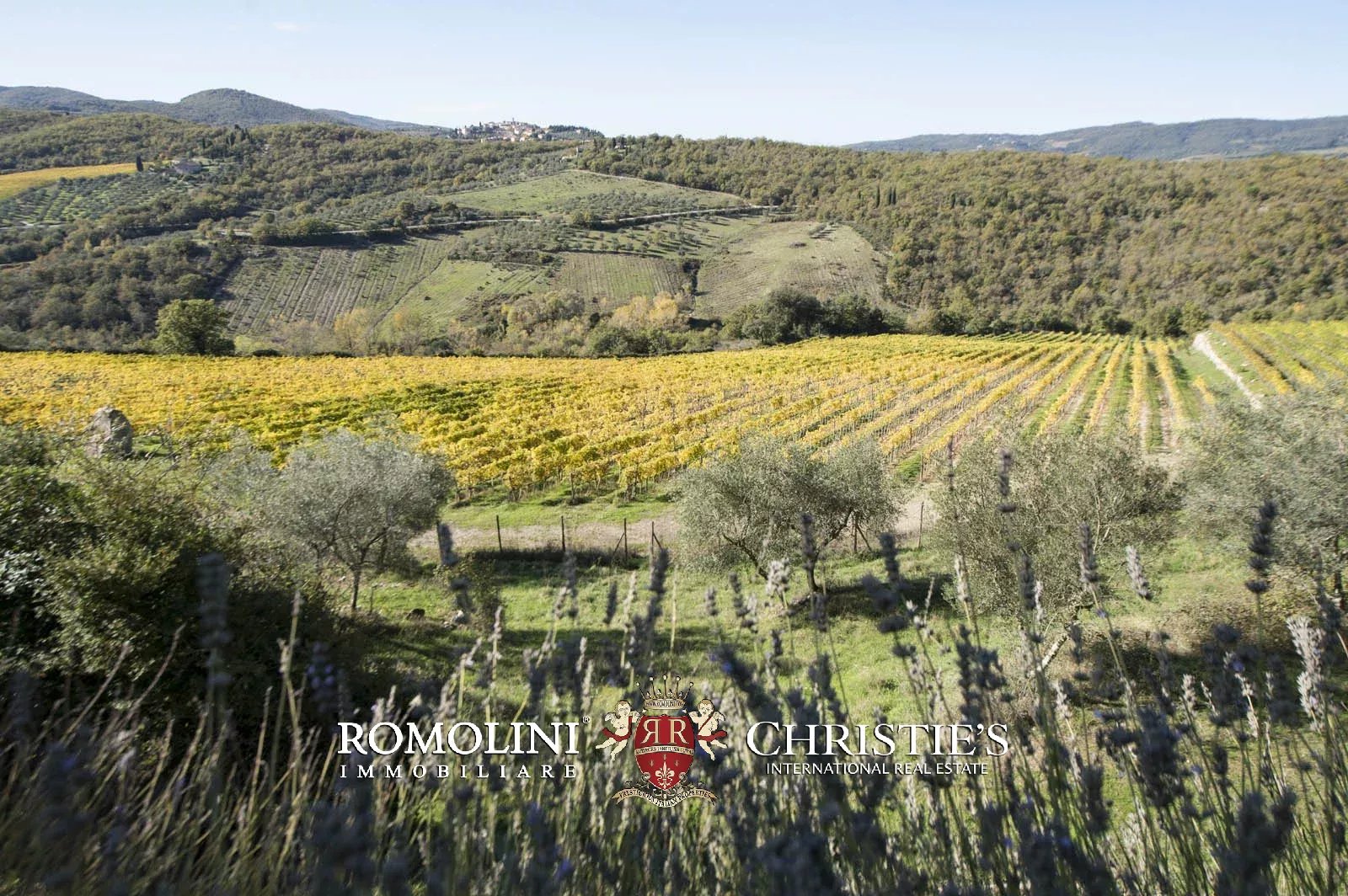 LUXURY HISTORICAL VILLA FOR SALE IN RADDA IN CHIANTI, TUSCANY