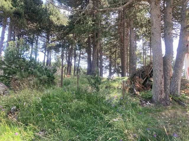 Vente Terrain constructible Bolquère