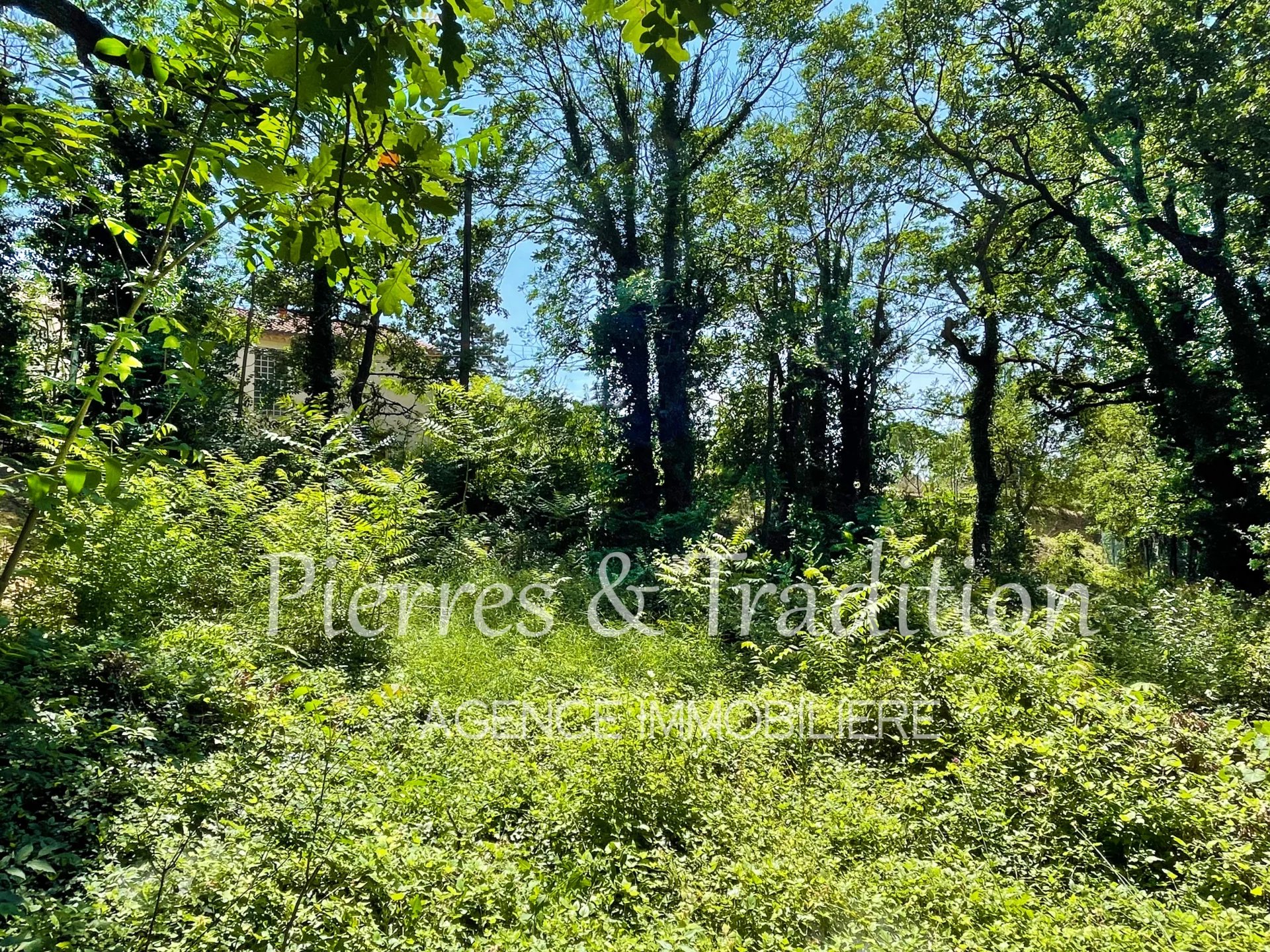 Agence immobilière de Pierres et Tradition en Luberon Apt