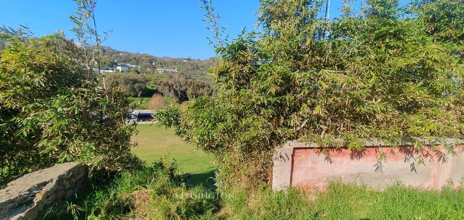 Land/Vacant Land's Image 3